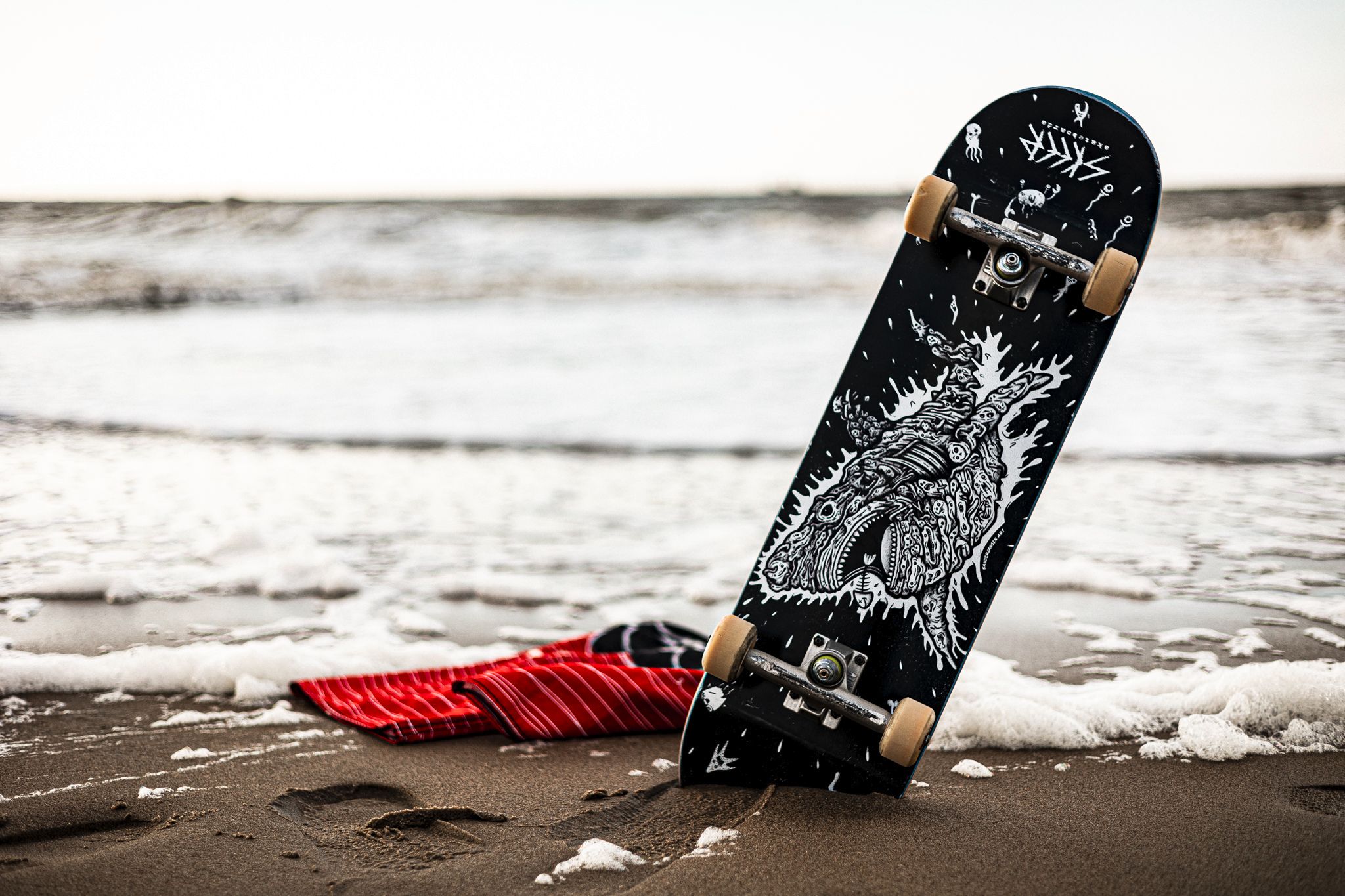 haai deck foto.jpg