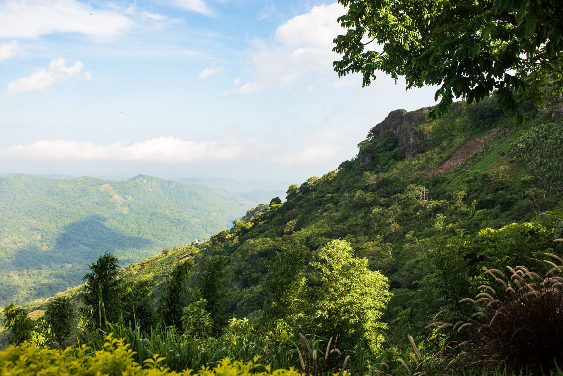 _DSC1080.jpg