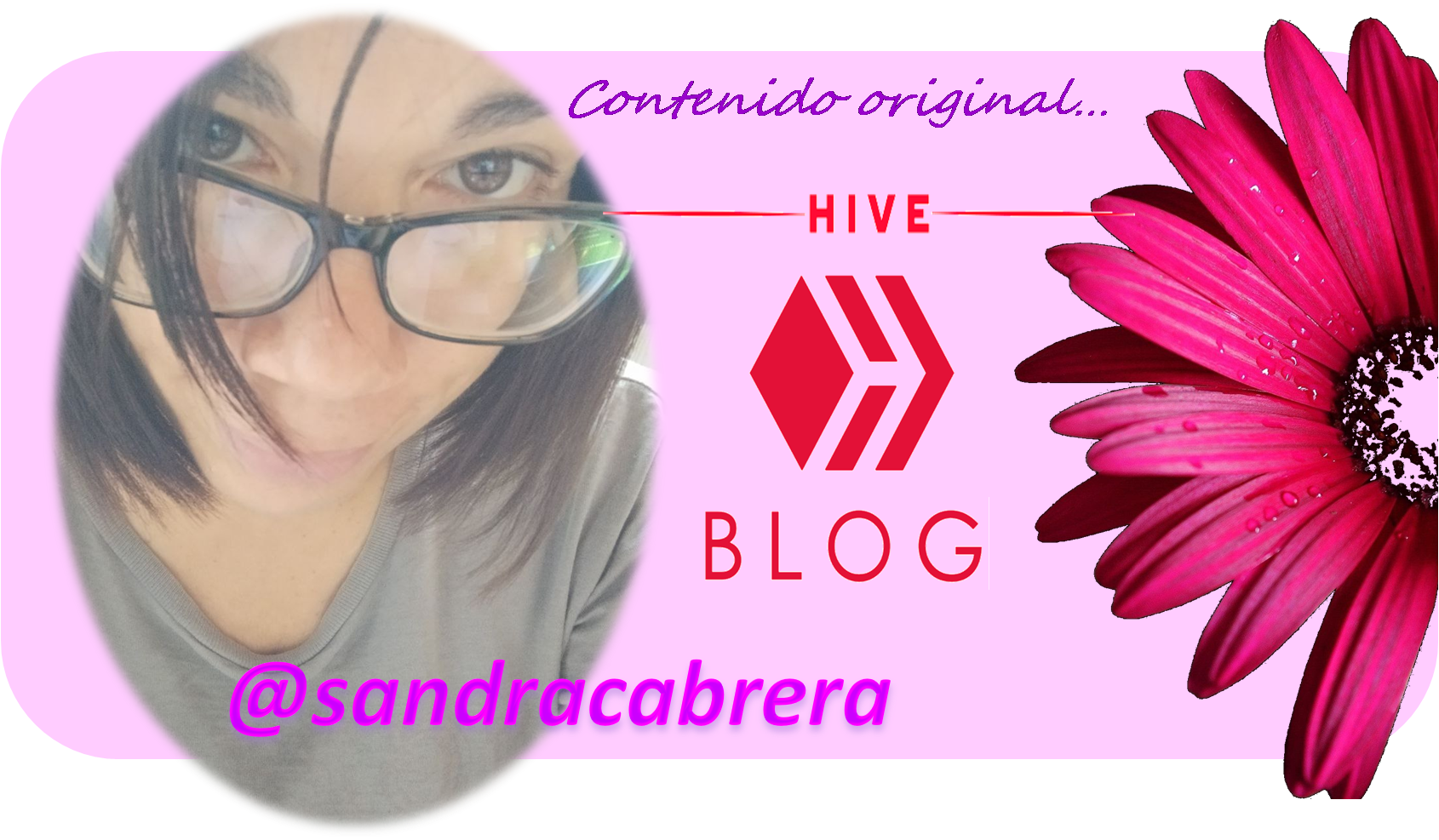 sandrahiveblog.png
