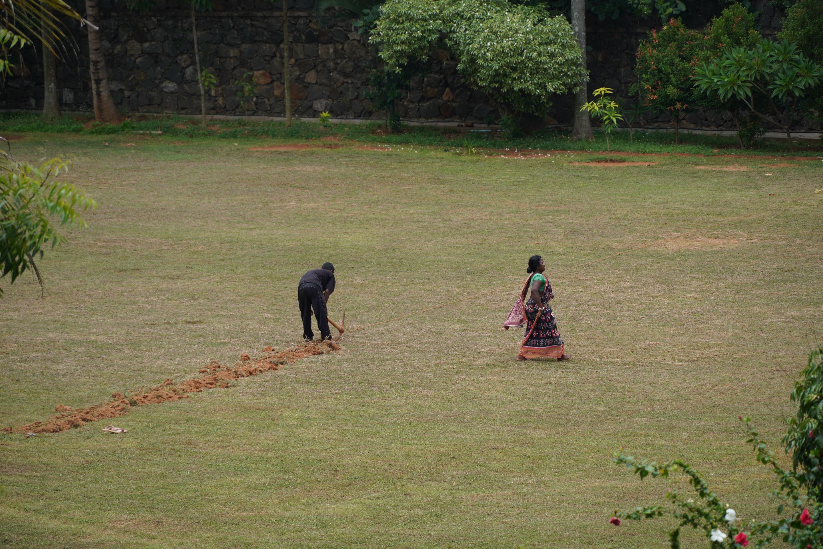 DSC08381.JPG