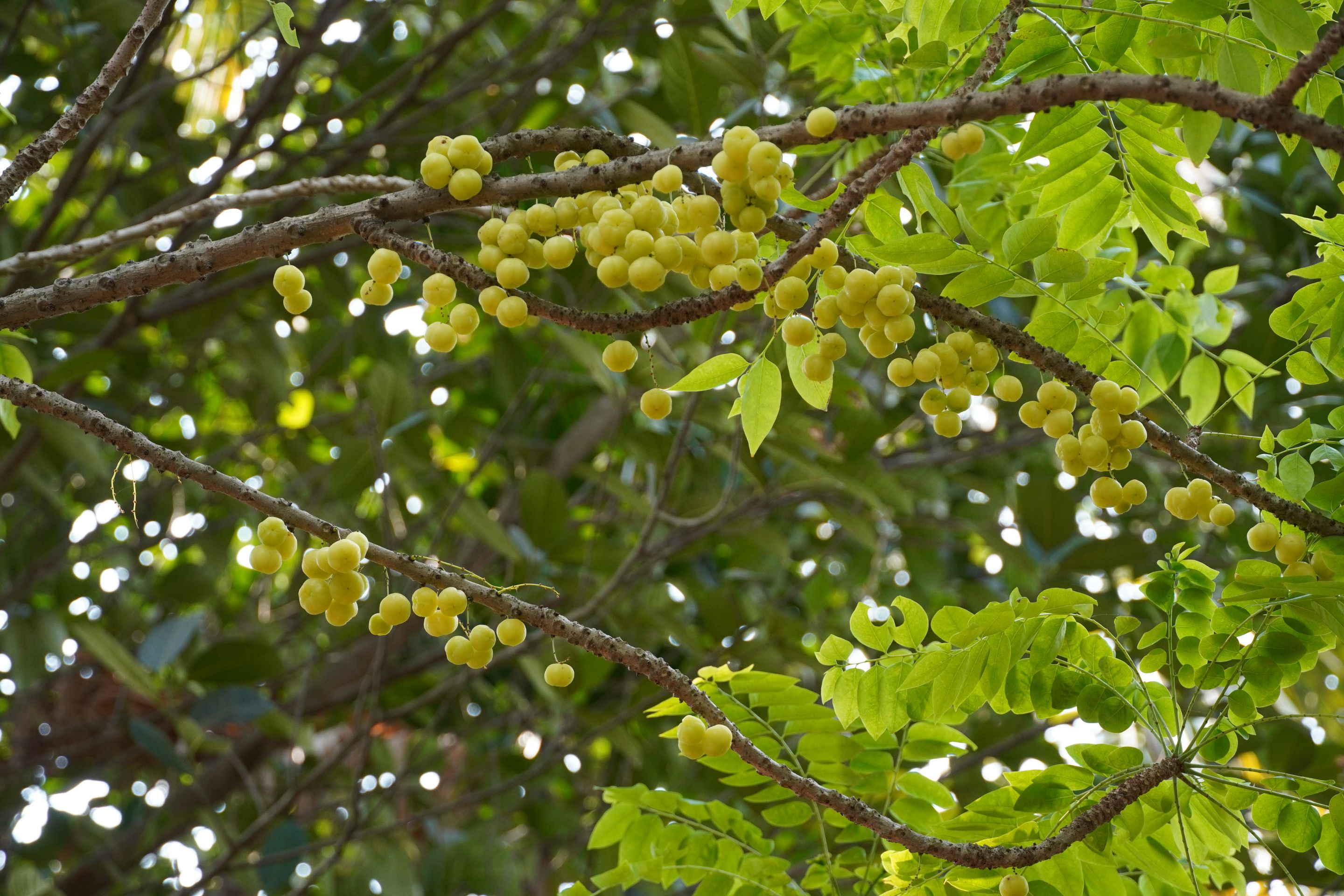 DSC07967.JPG