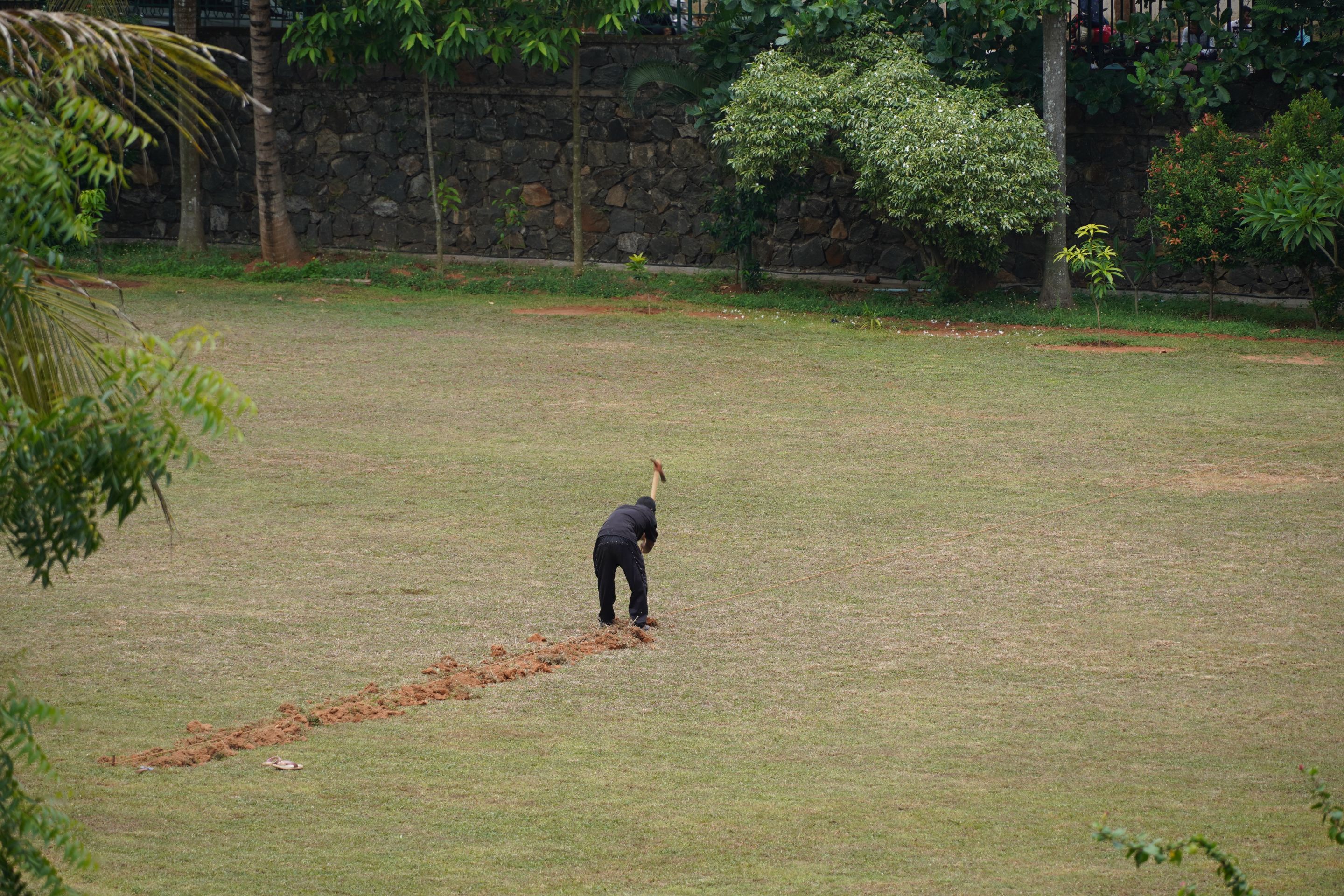 DSC08386.JPG