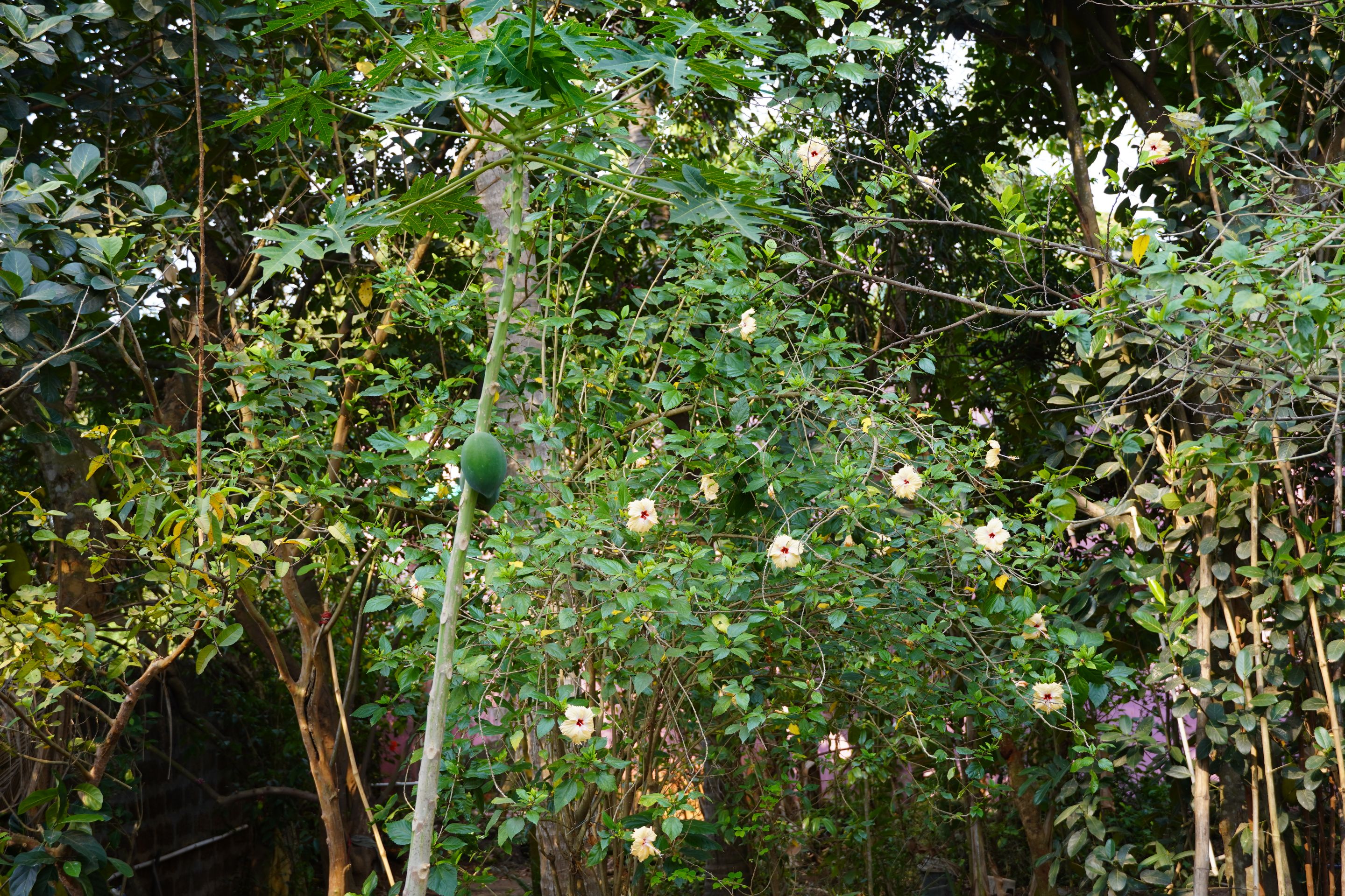 DSC07926.JPG