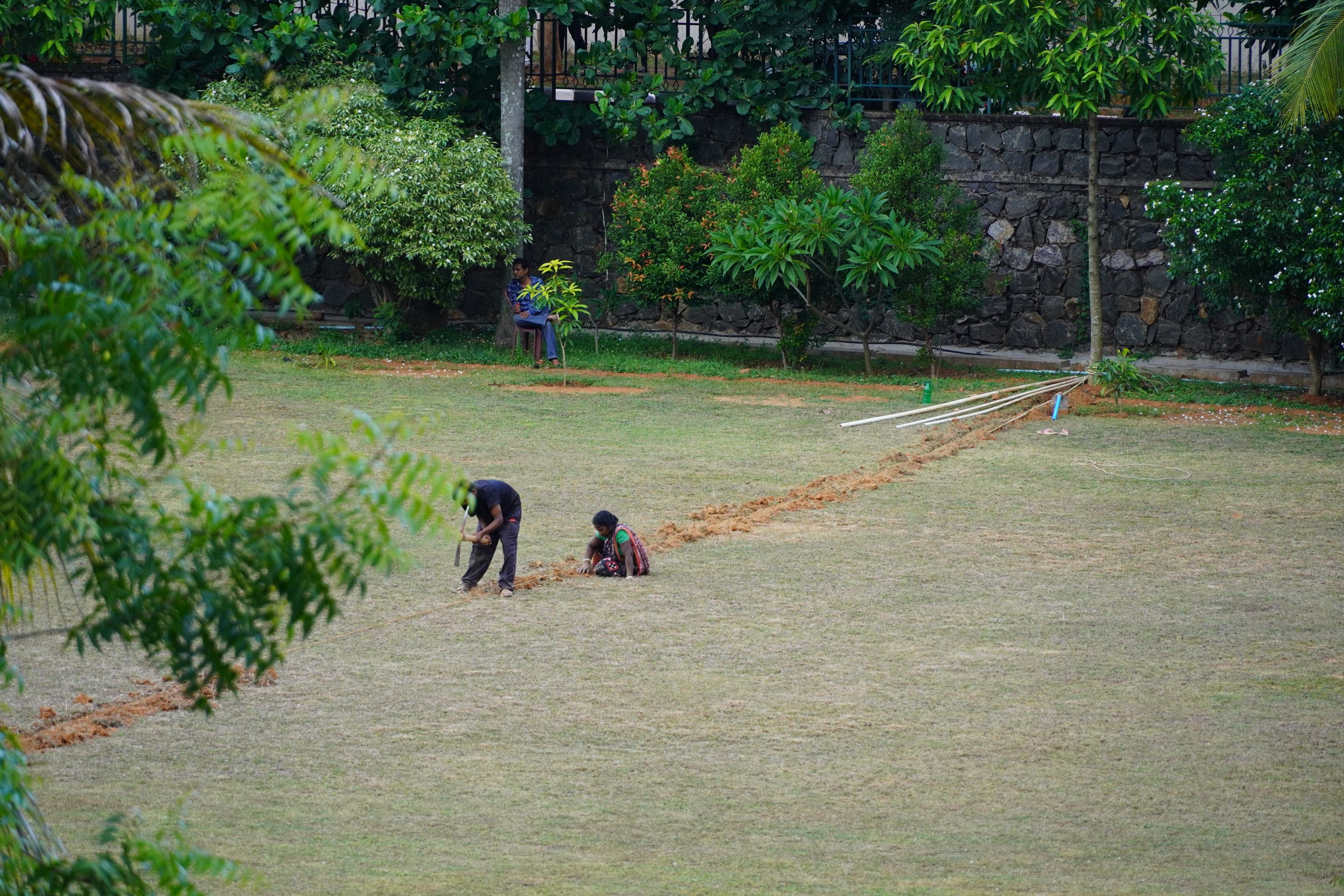 DSC08389.JPG
