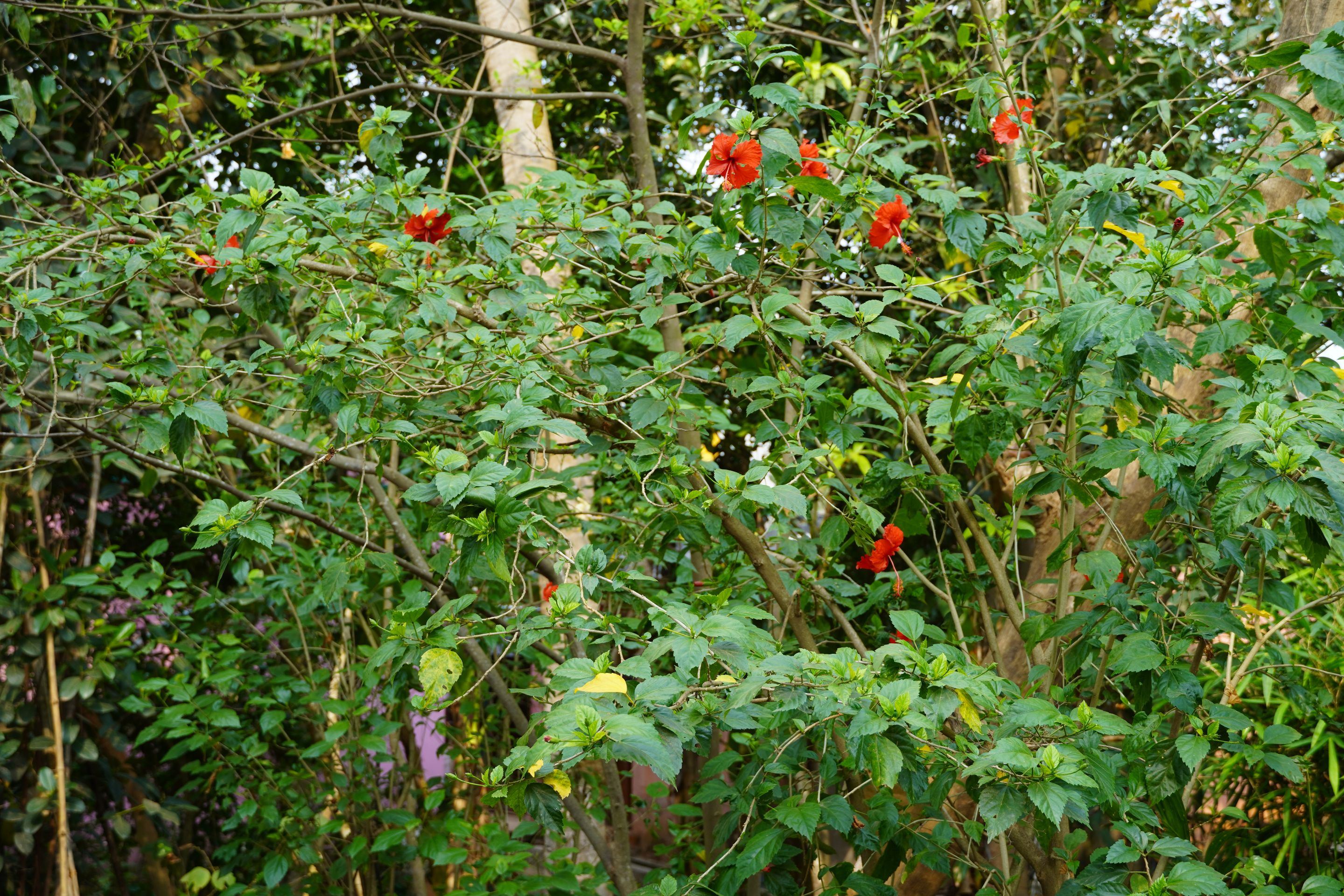 DSC07927.JPG