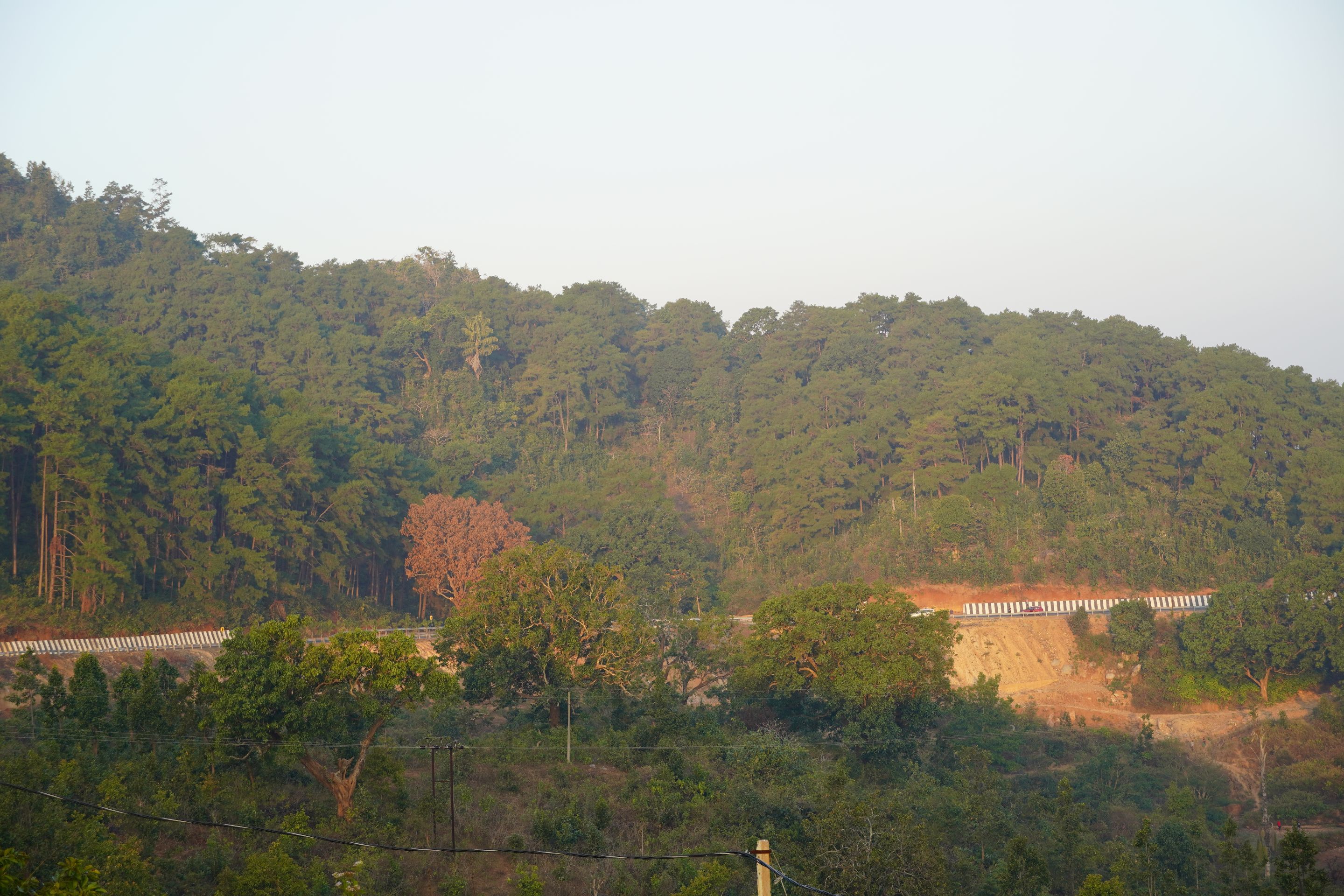 DSC05980.JPG