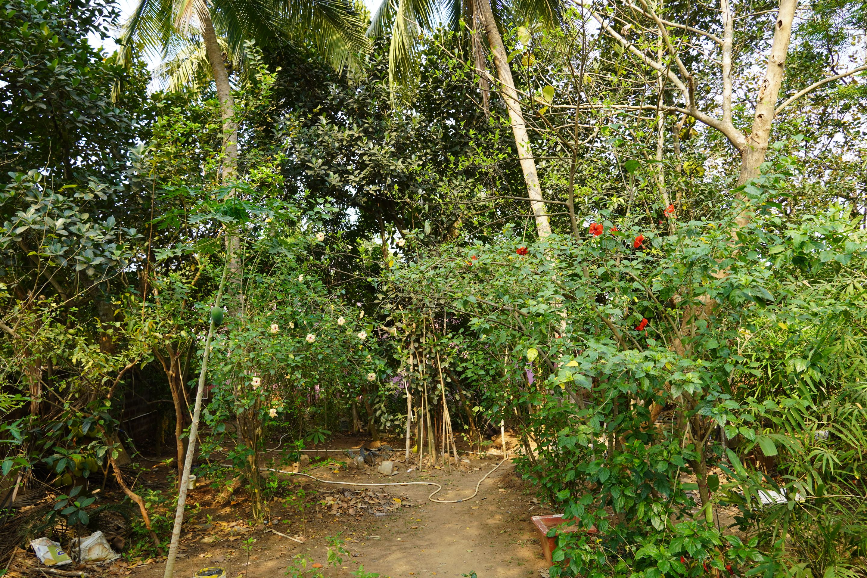 DSC07928.JPG