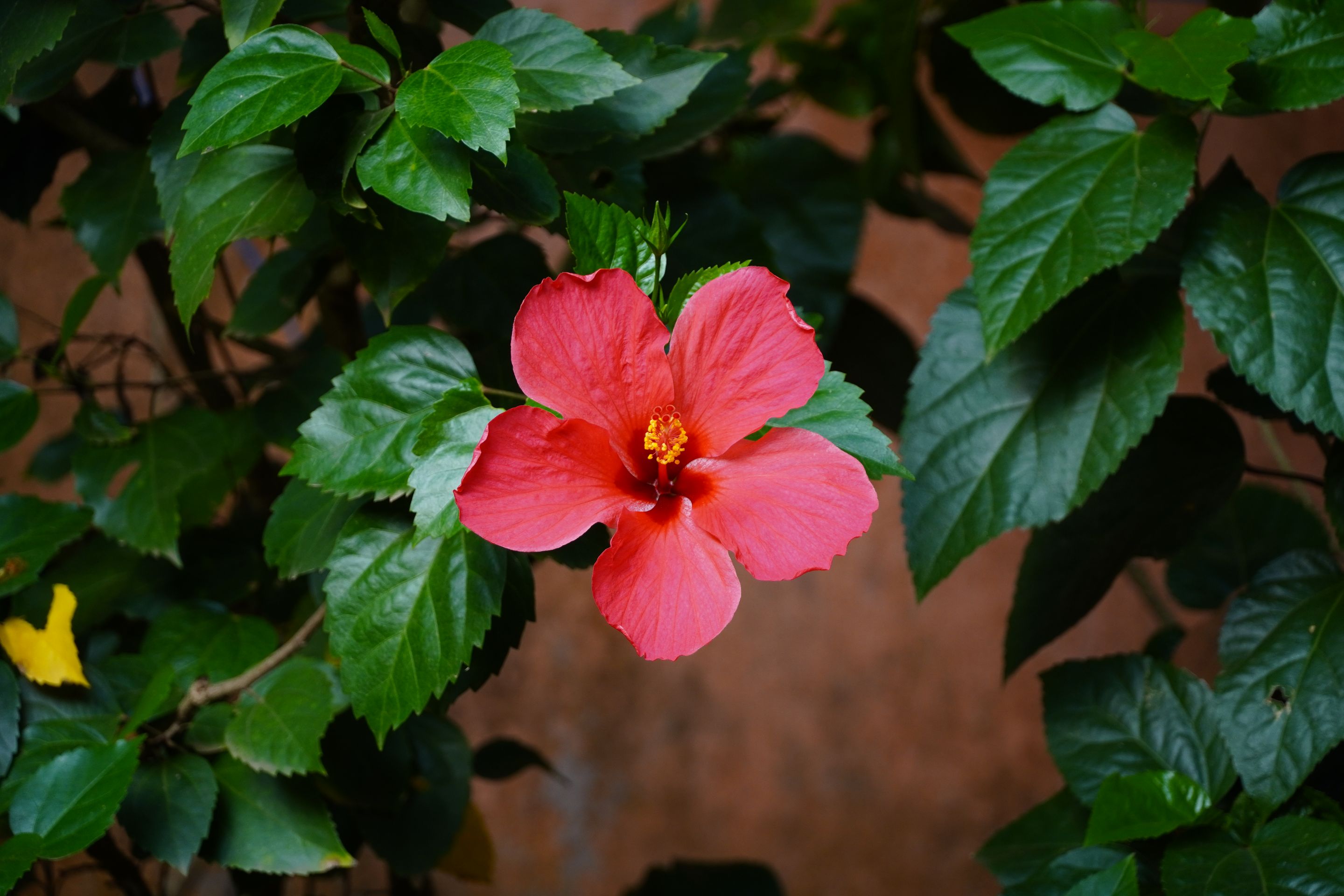 DSC07910.JPG