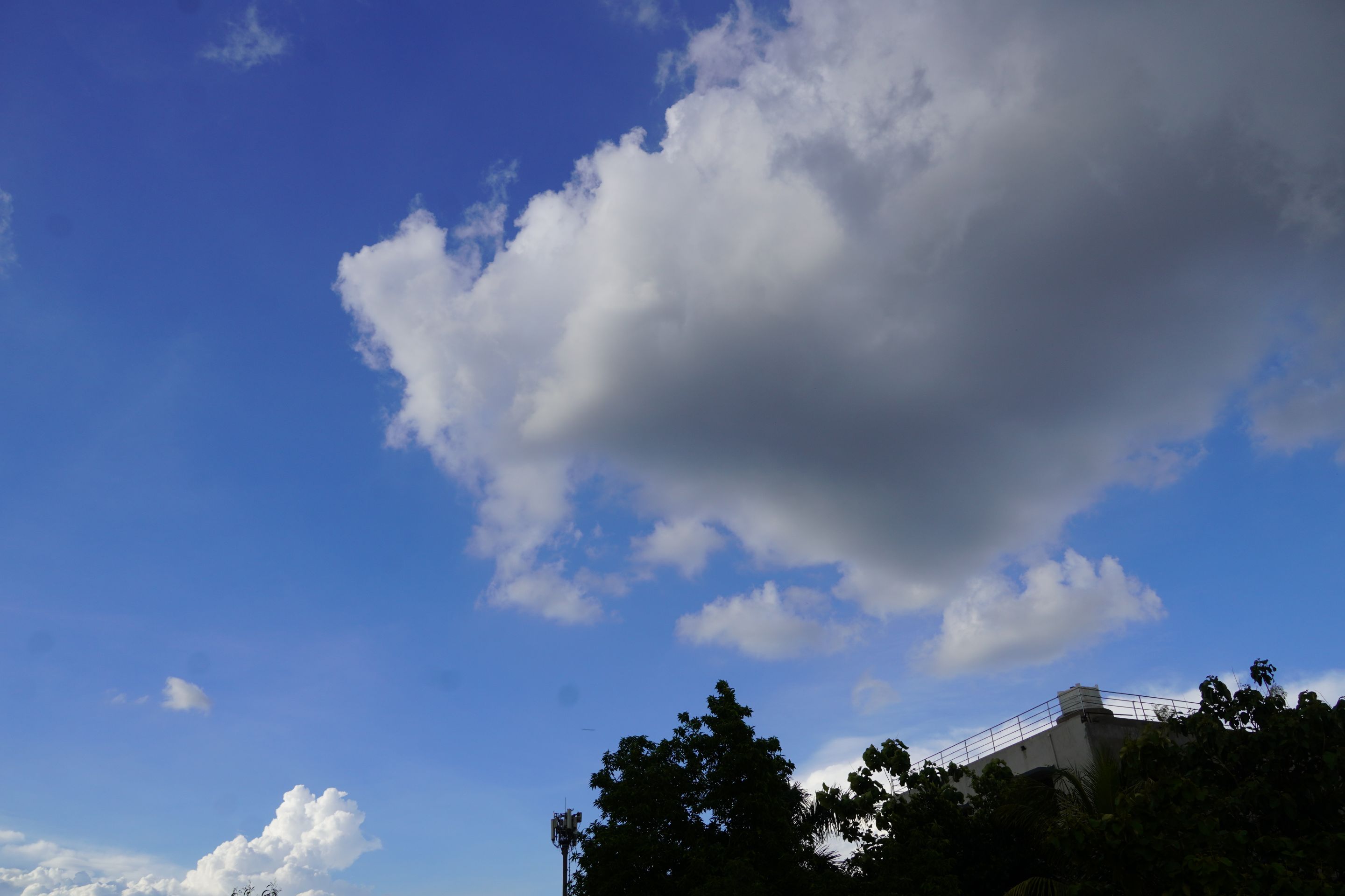 DSC08397.JPG