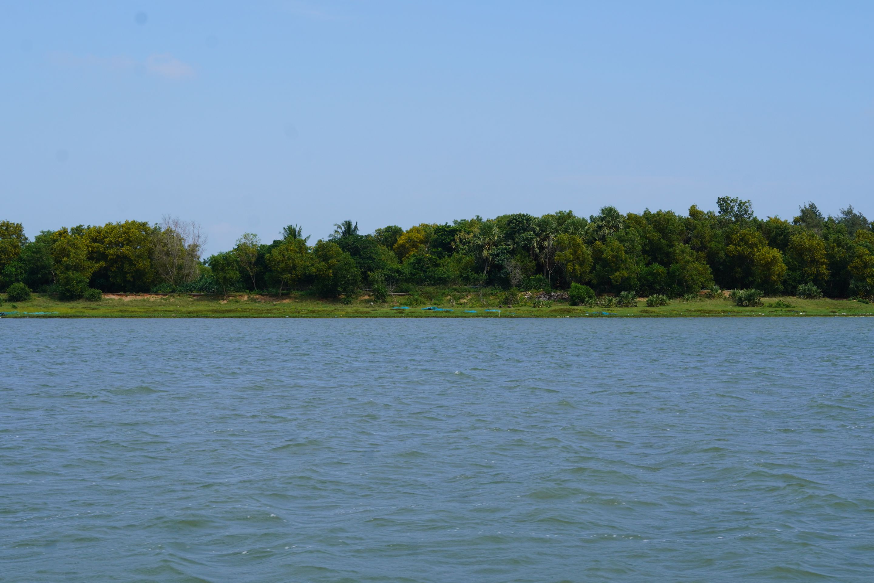 DSC00420.JPG