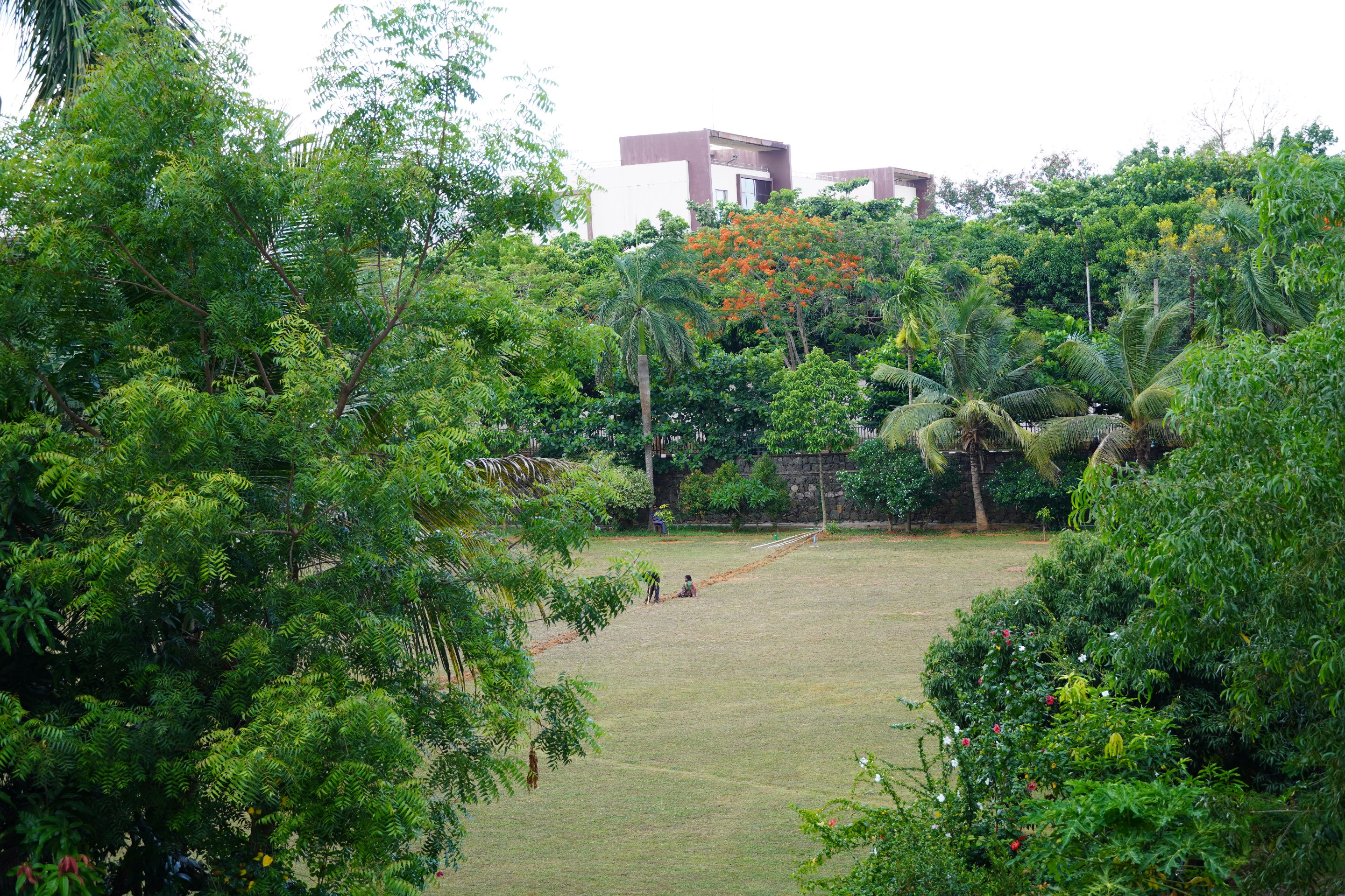 DSC08391.JPG