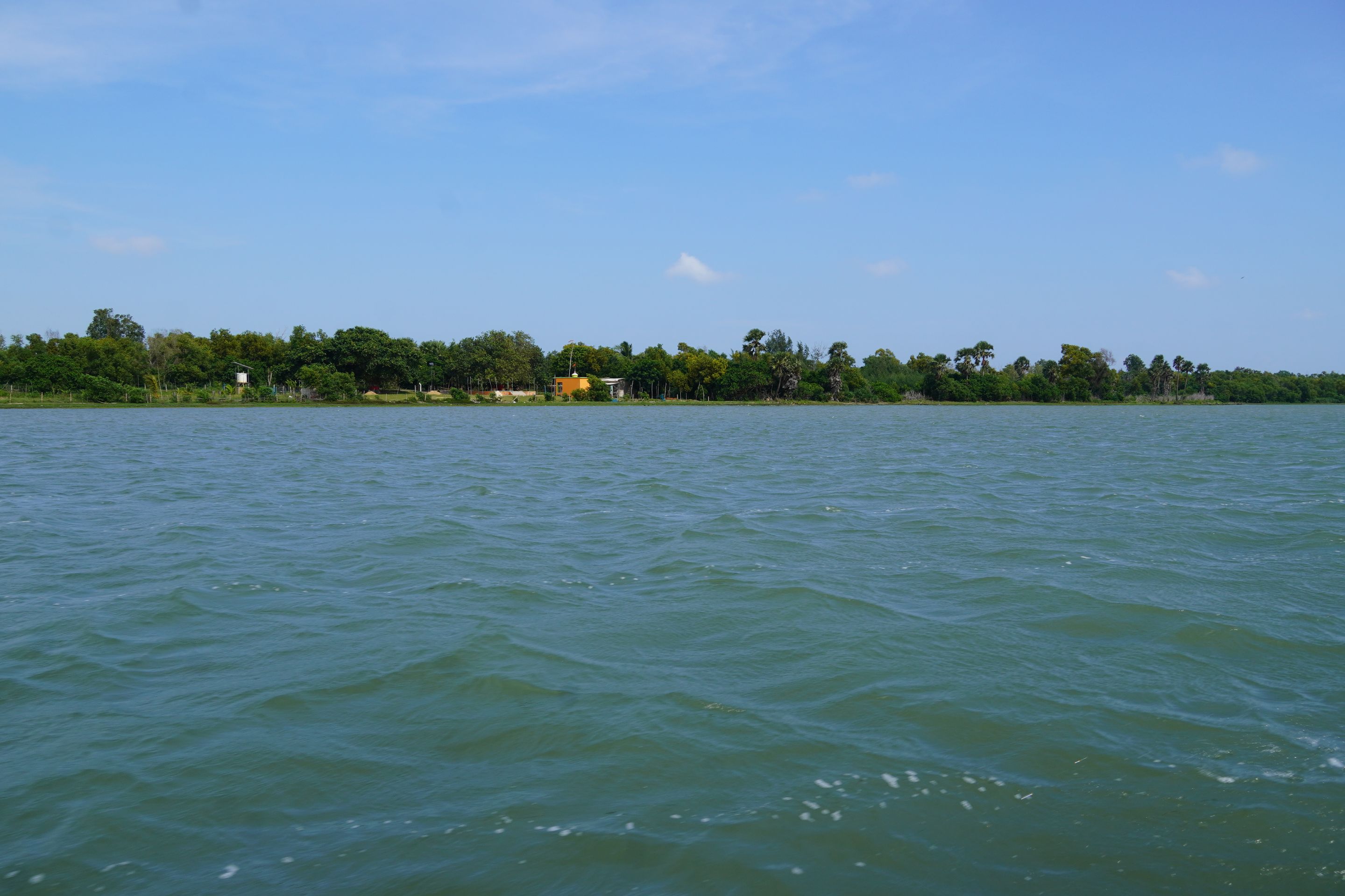 DSC00421.JPG