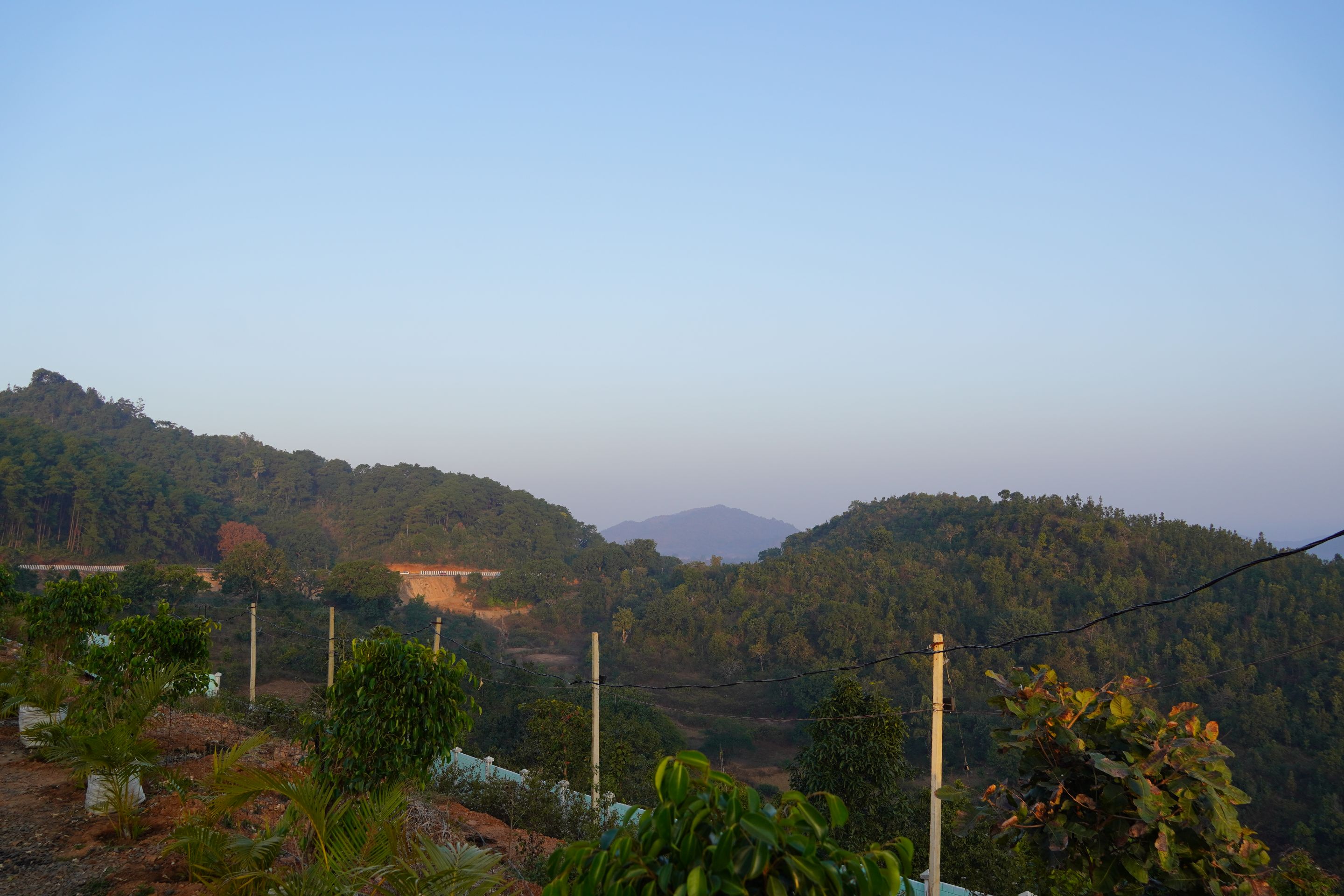 DSC05977.JPG