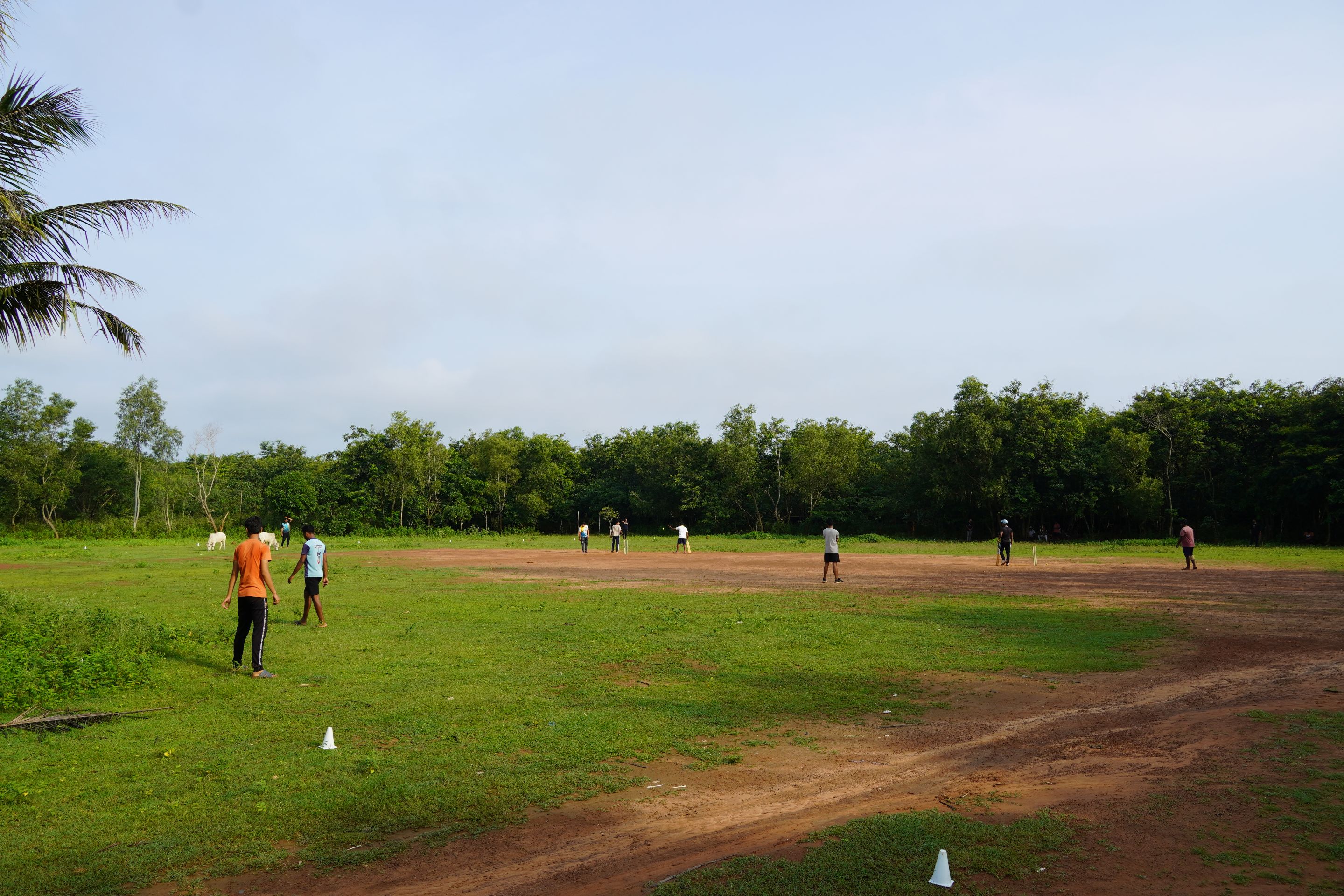 DSC09515.JPG