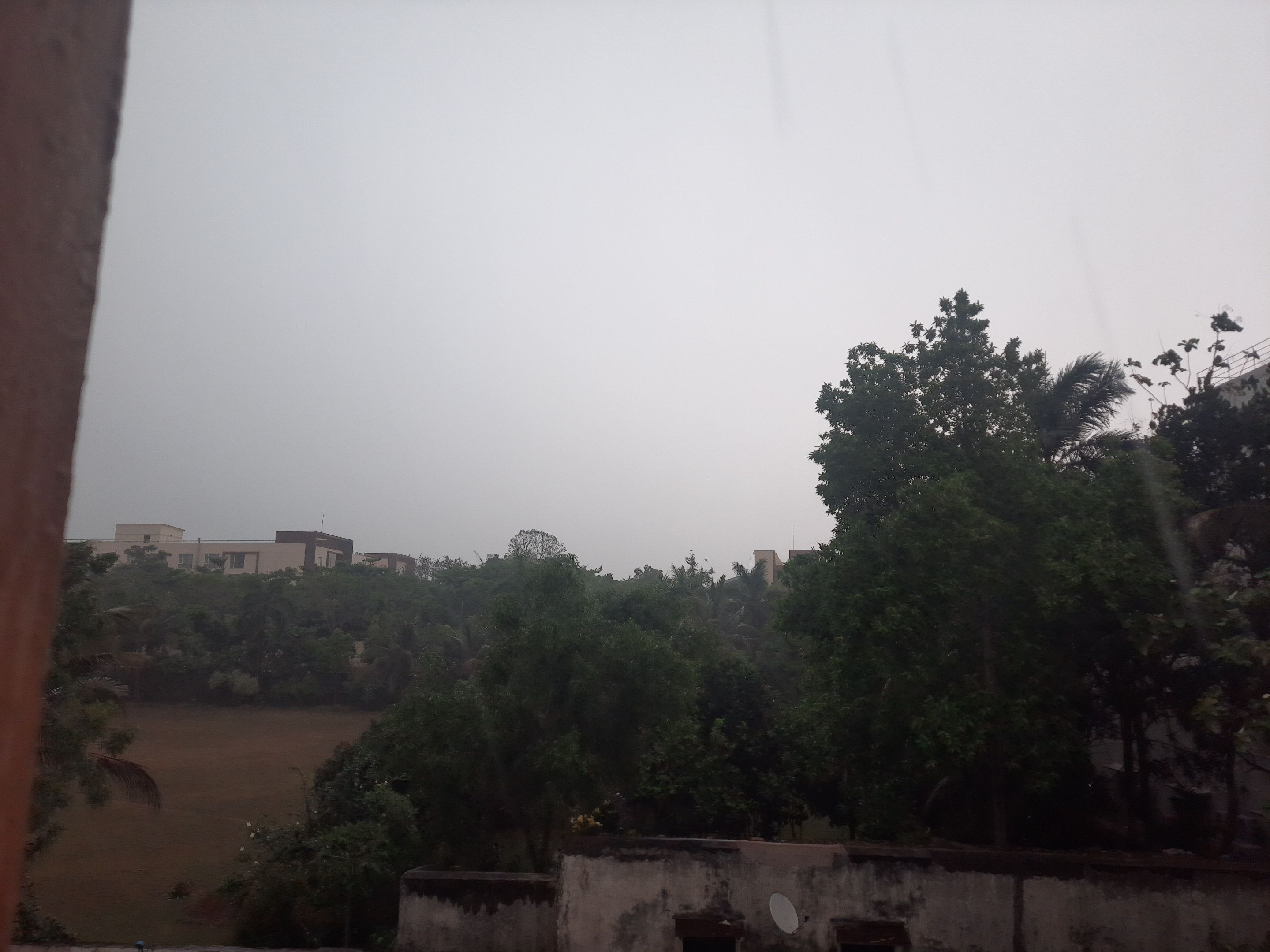 20250418_093543.jpg