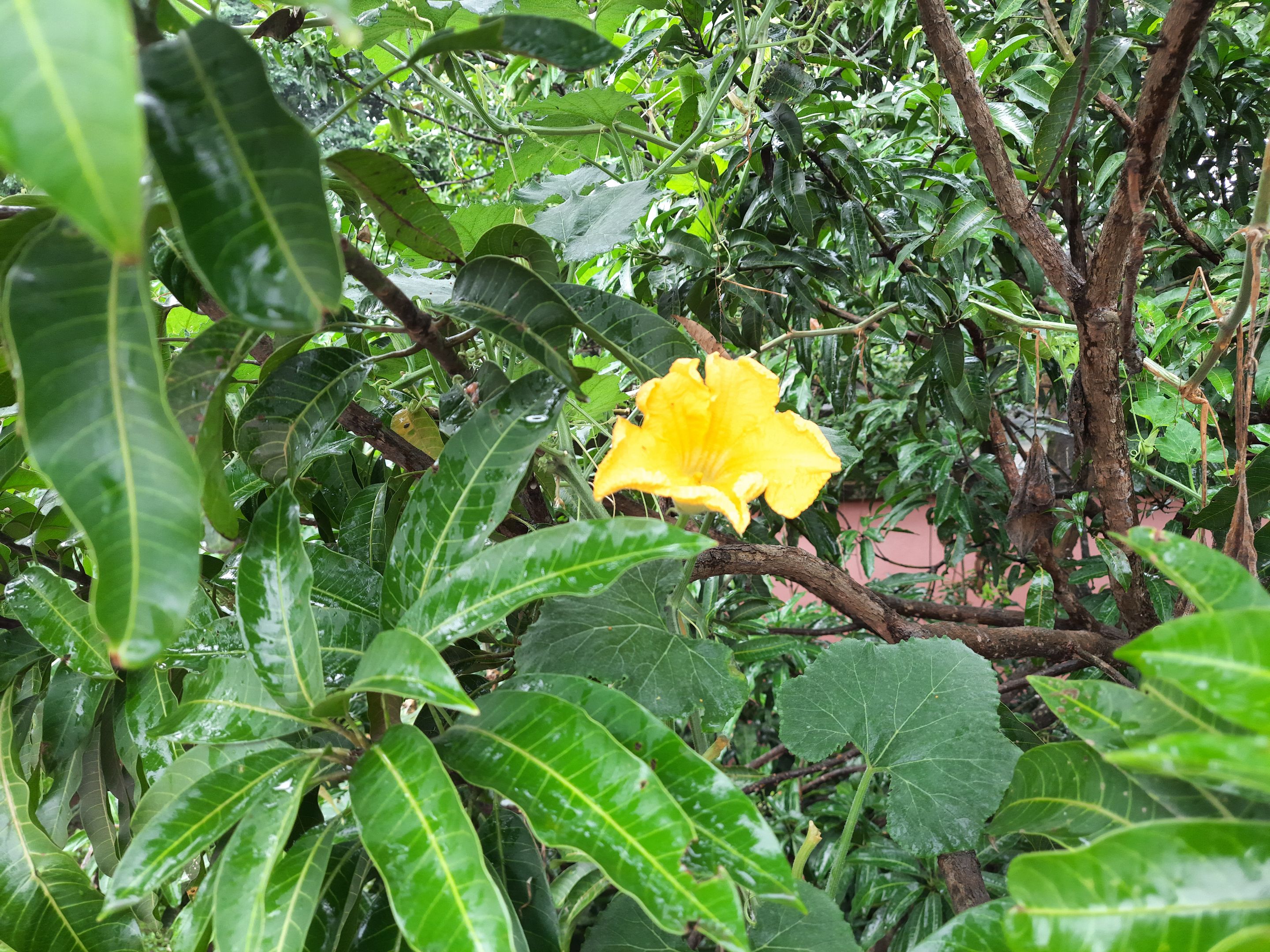 20250822_090940.jpg