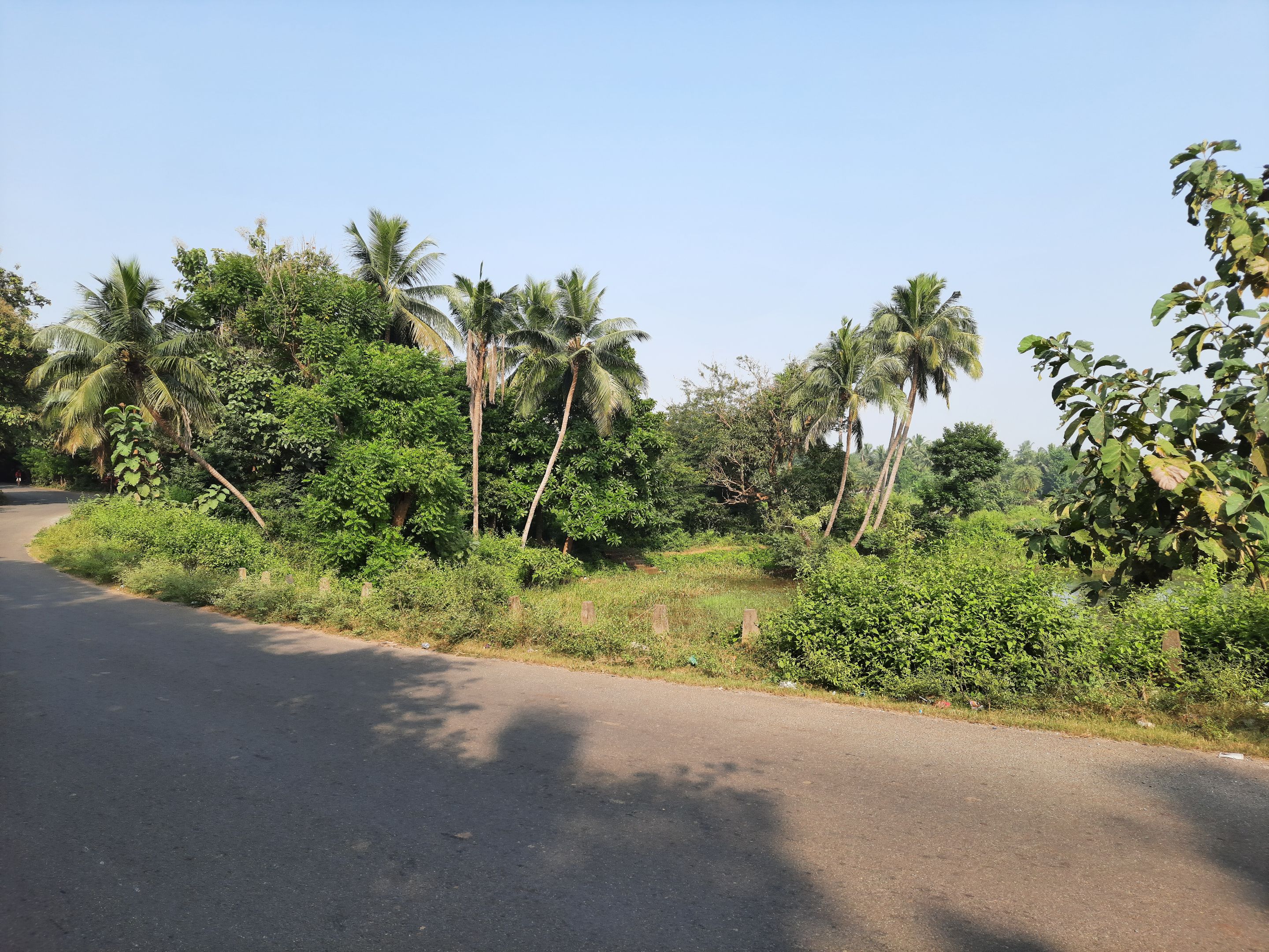 085845.jpg