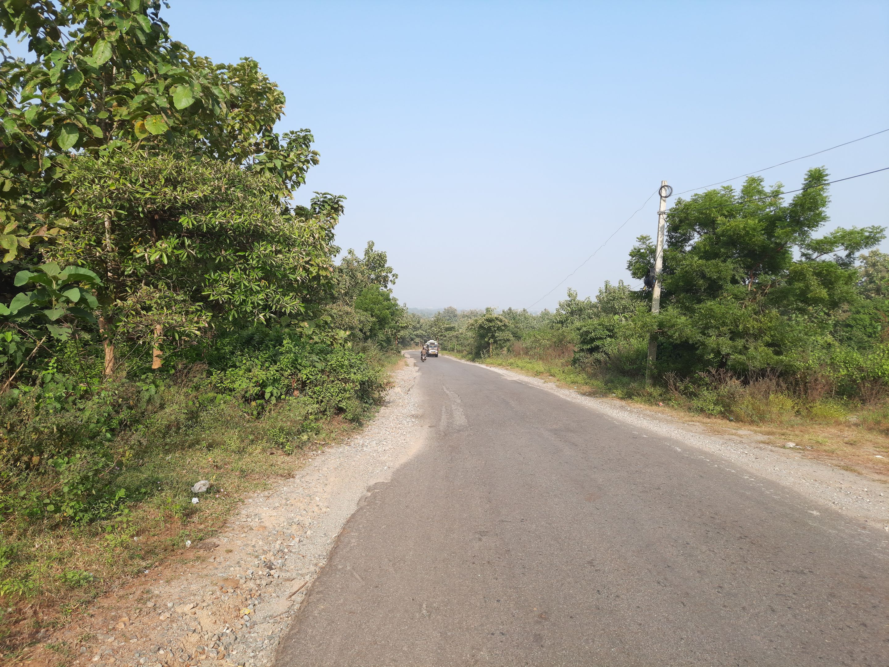 083345.jpg