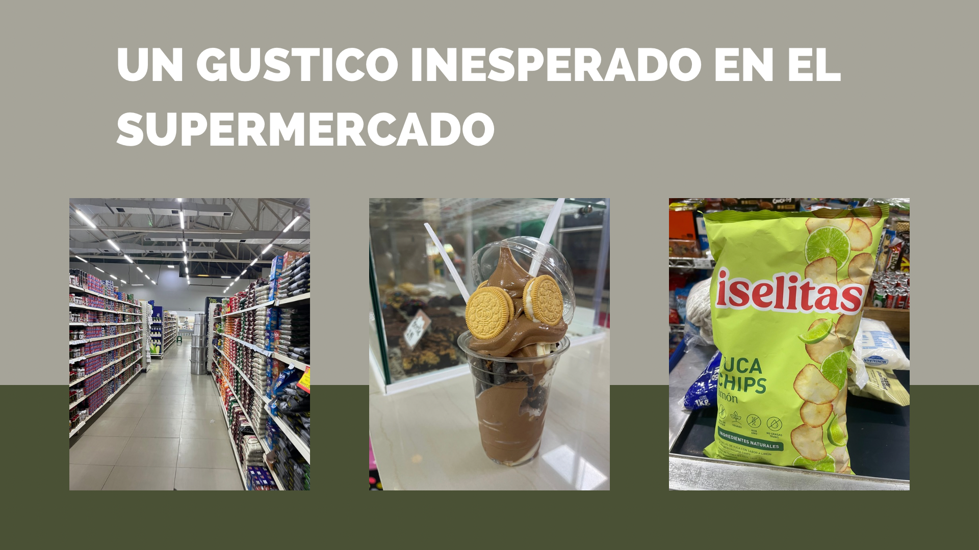 Presentación para cuidado de plantas verde.png