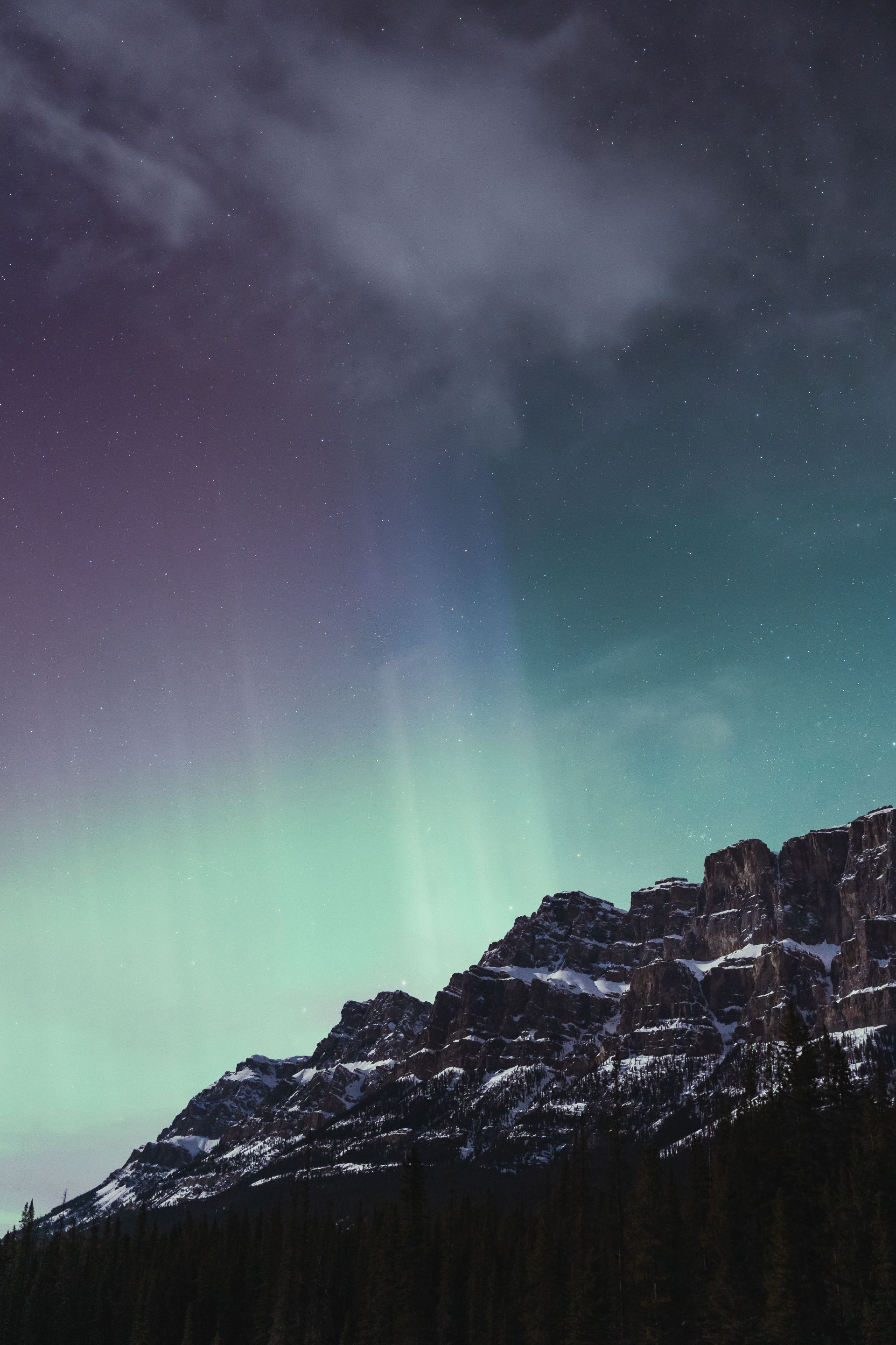 2022aurora-1-19.jpg