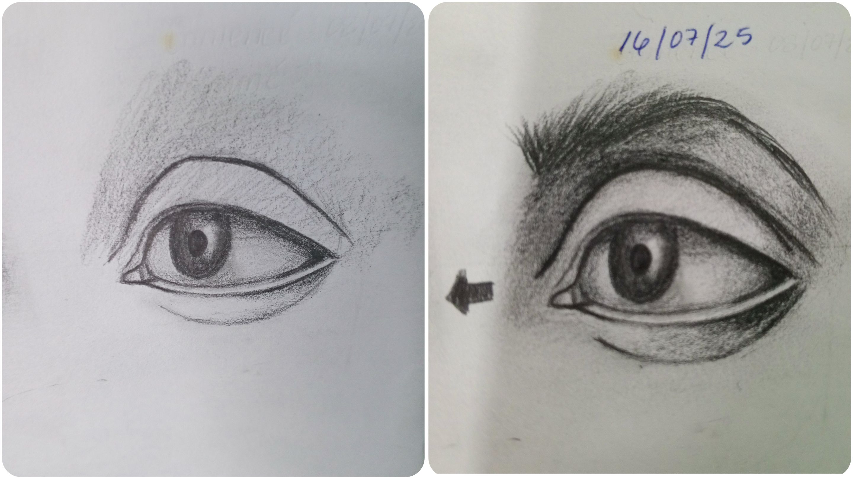 1000165791.jpg
