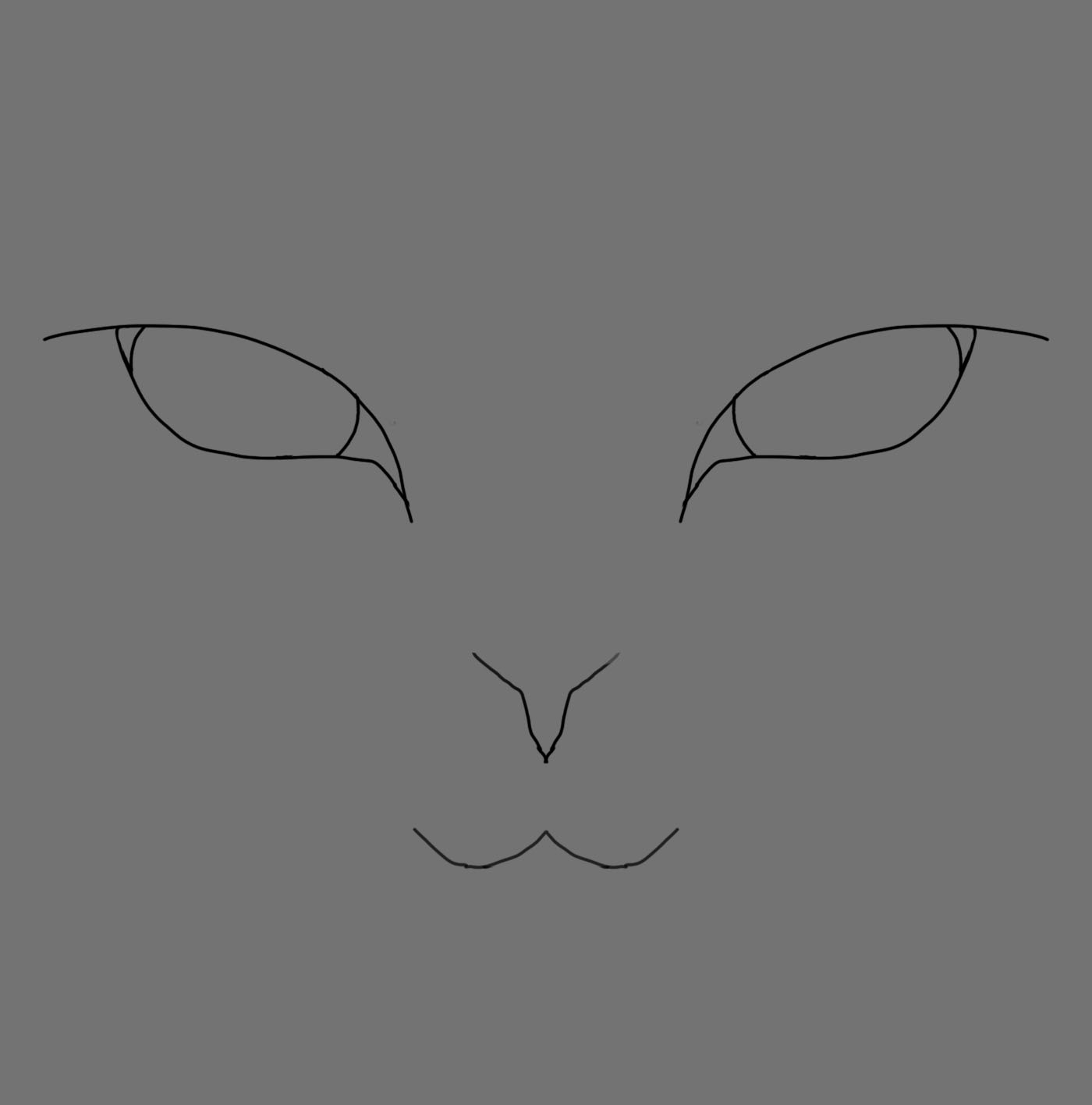 cat 1.jpg