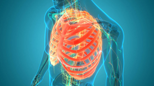 depositphotos_389216794-stock-photo-3d-illustration-of-human-skeleton.jpg