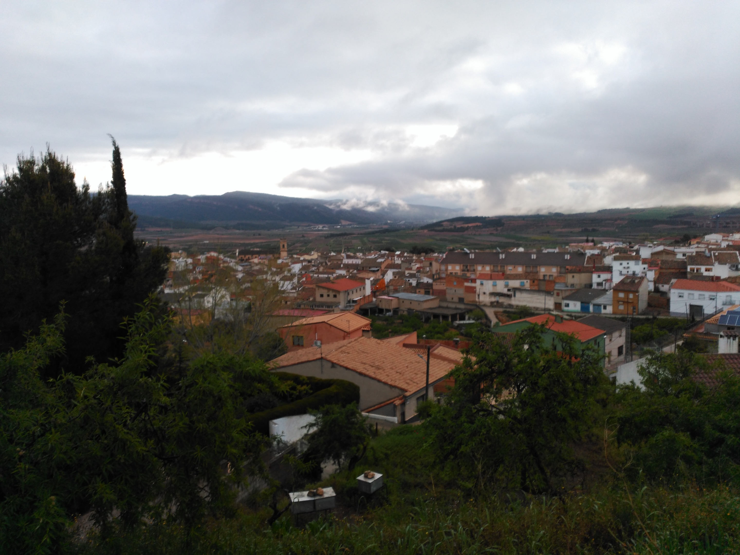 niebla2.jpg
