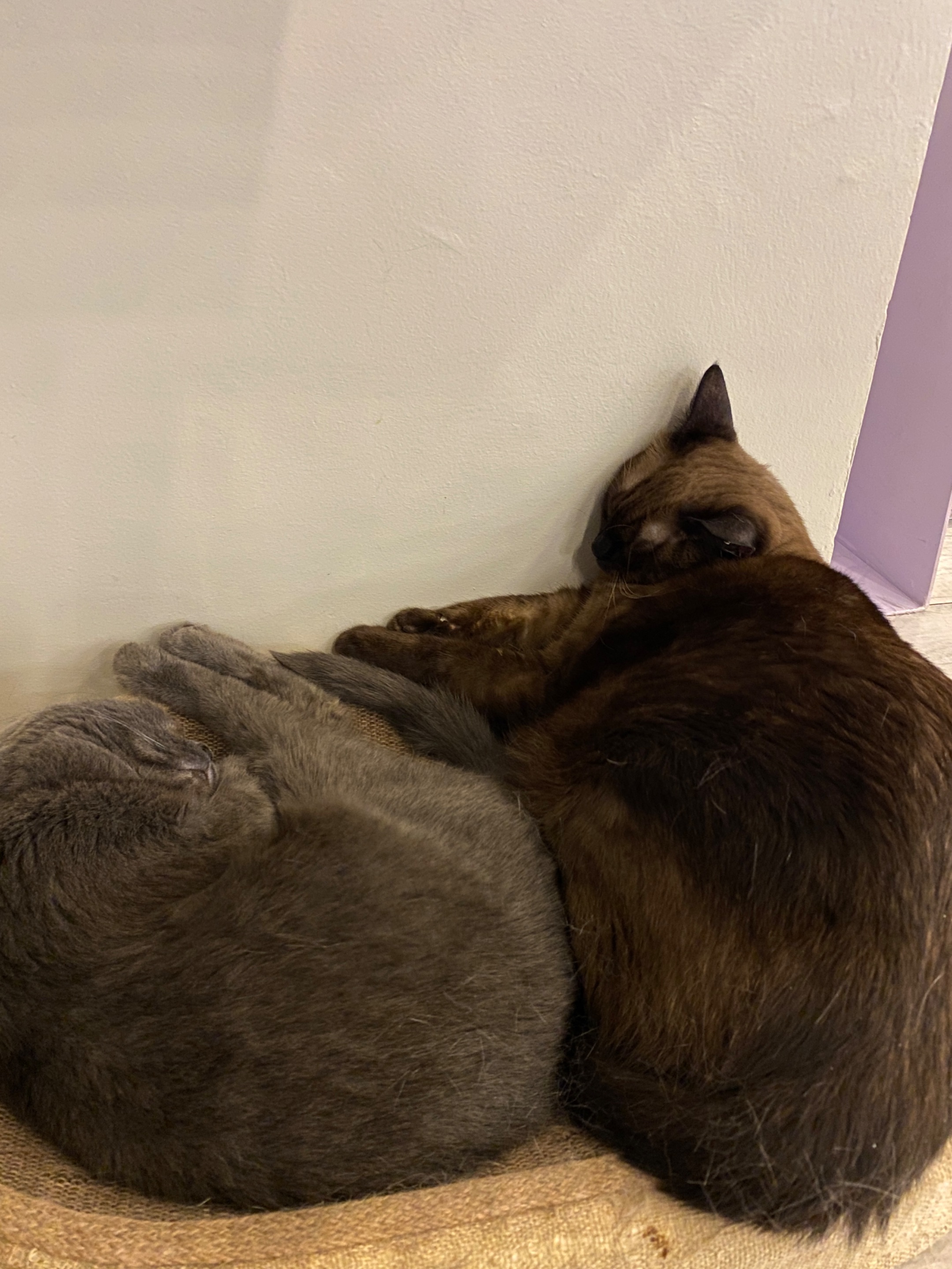 IMG_6818.jpeg
