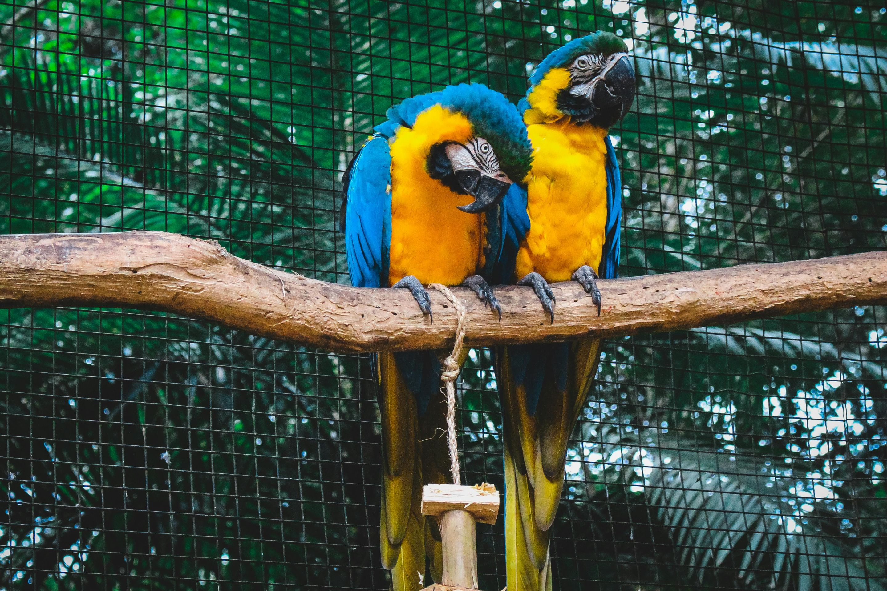pexels-jonnylew-1547836.jpg