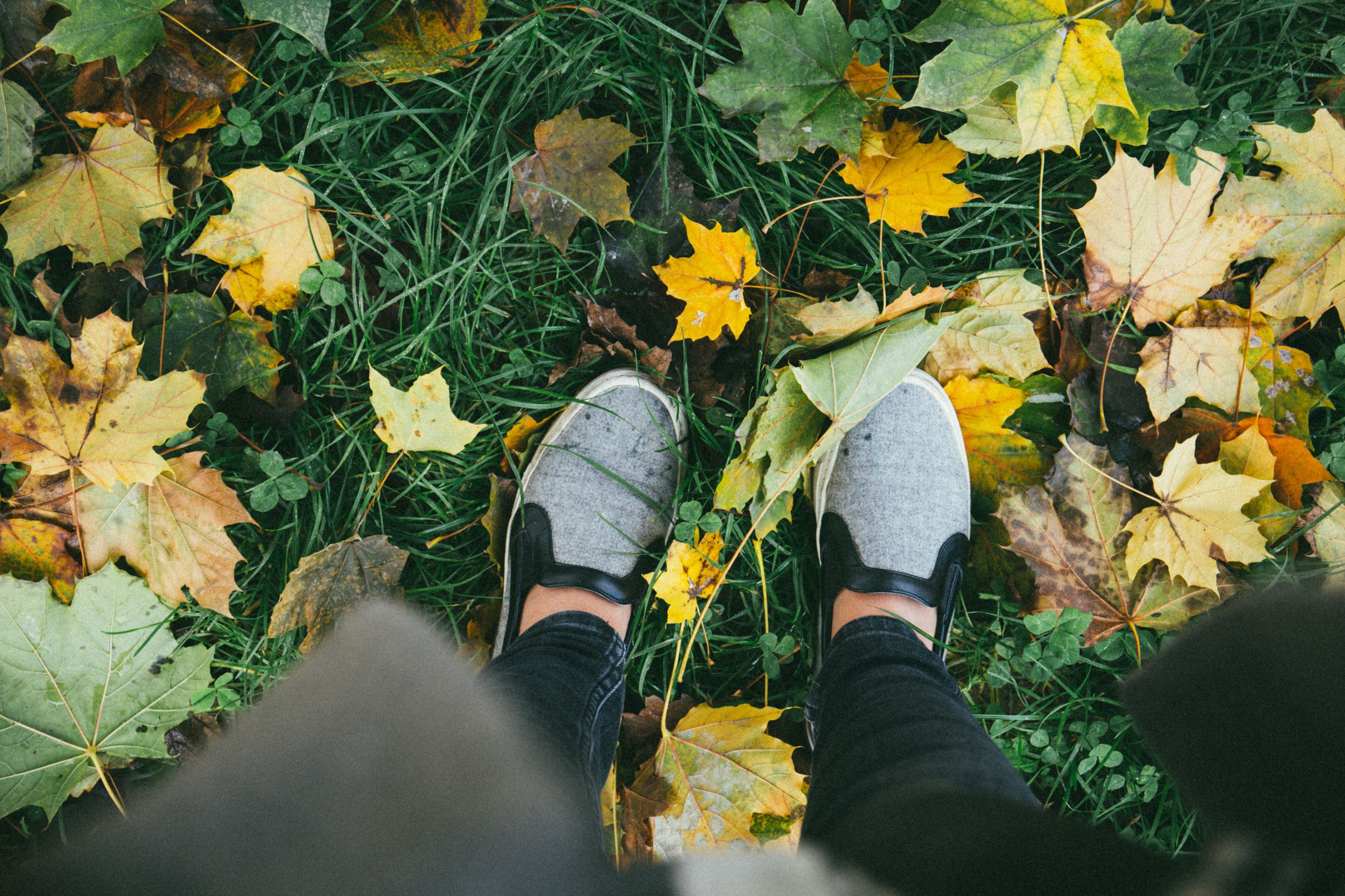 alisa-anton-DwlNPM1doKA-unsplash.jpg