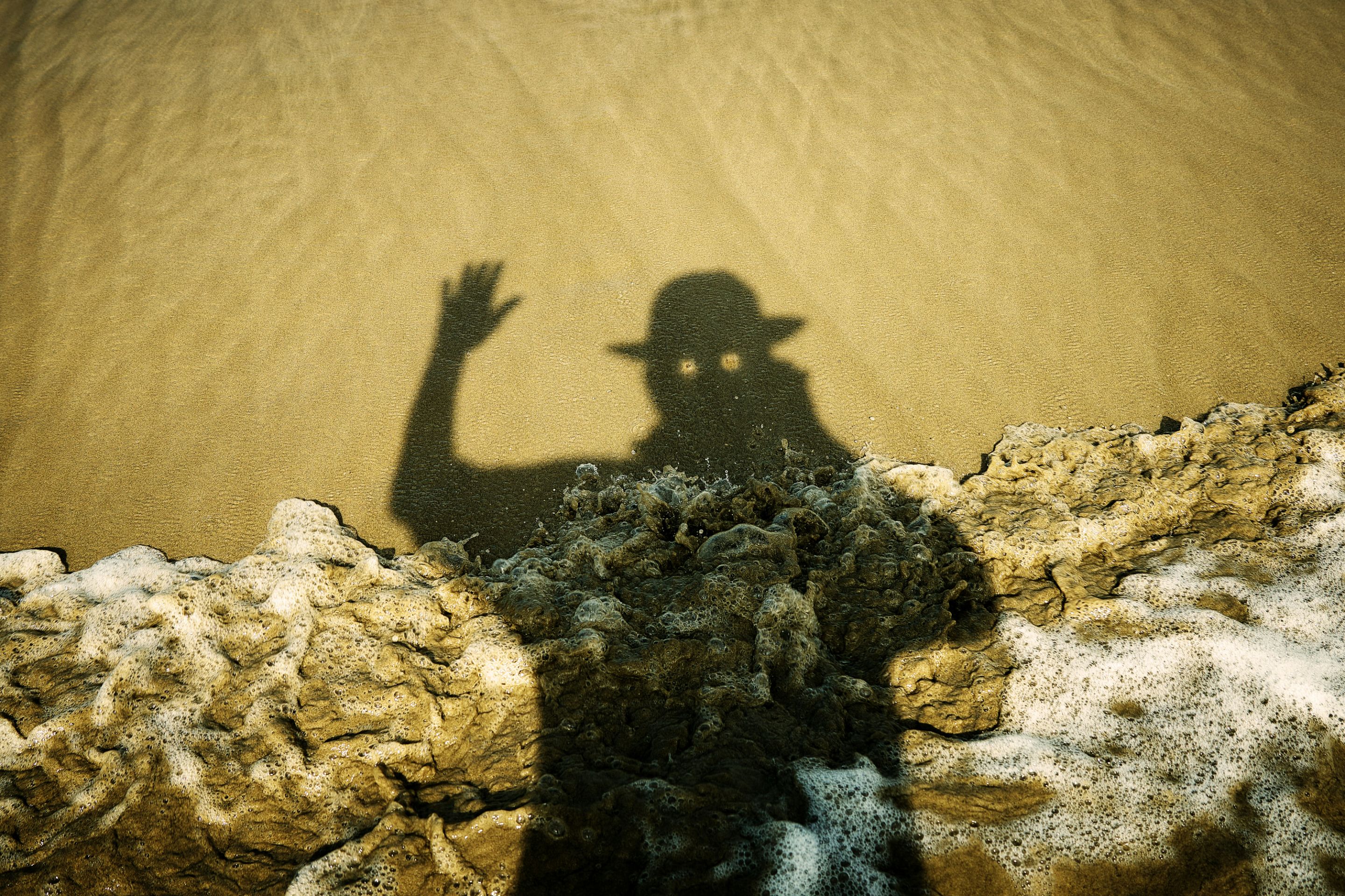 buddy-an-NuHrMrC5rlk-unsplash.jpg