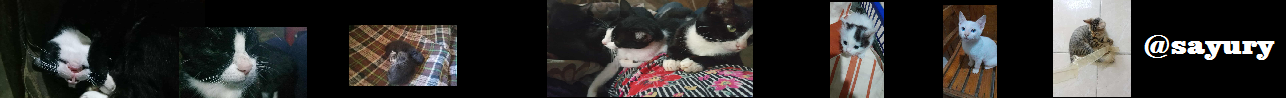 23tGe1nkx2pJmNr7cnxJ2EgYATjVCz3H1UHbRxGpSYWZZdqruBHSnR9bNTr8pgTxHr919.png
