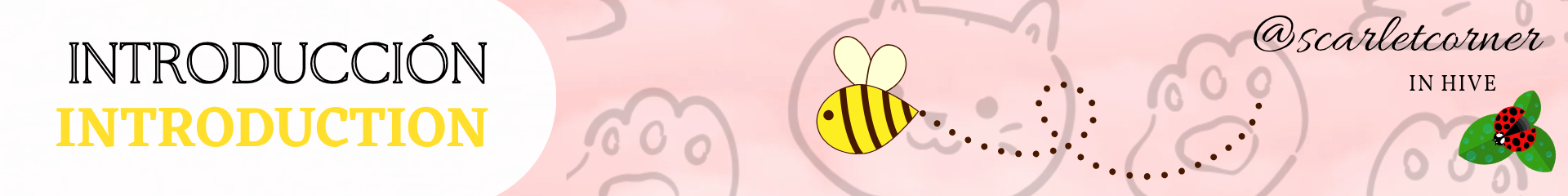 Separadores_20250907_152358_0000.png