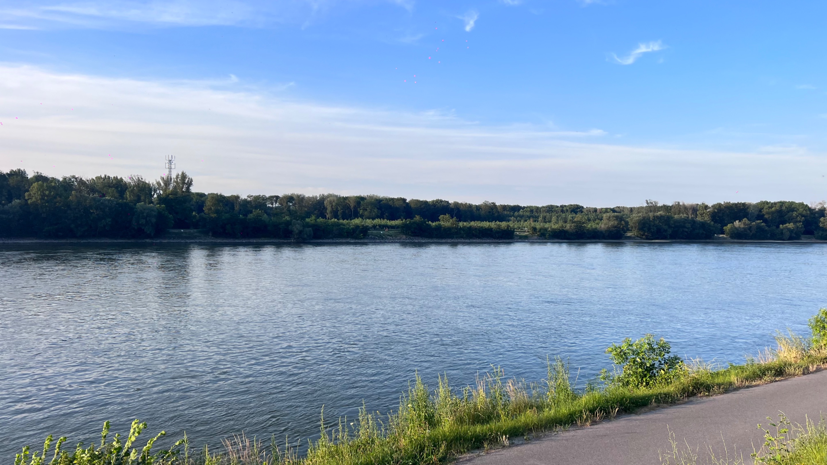 443C5F65-7D79-4332-A29D-196566B9CA0F.jpeg