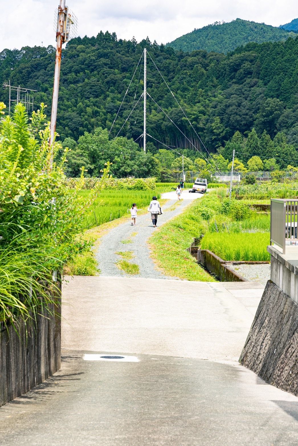 S__52994063.jpg