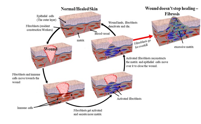 Picture9.jpg