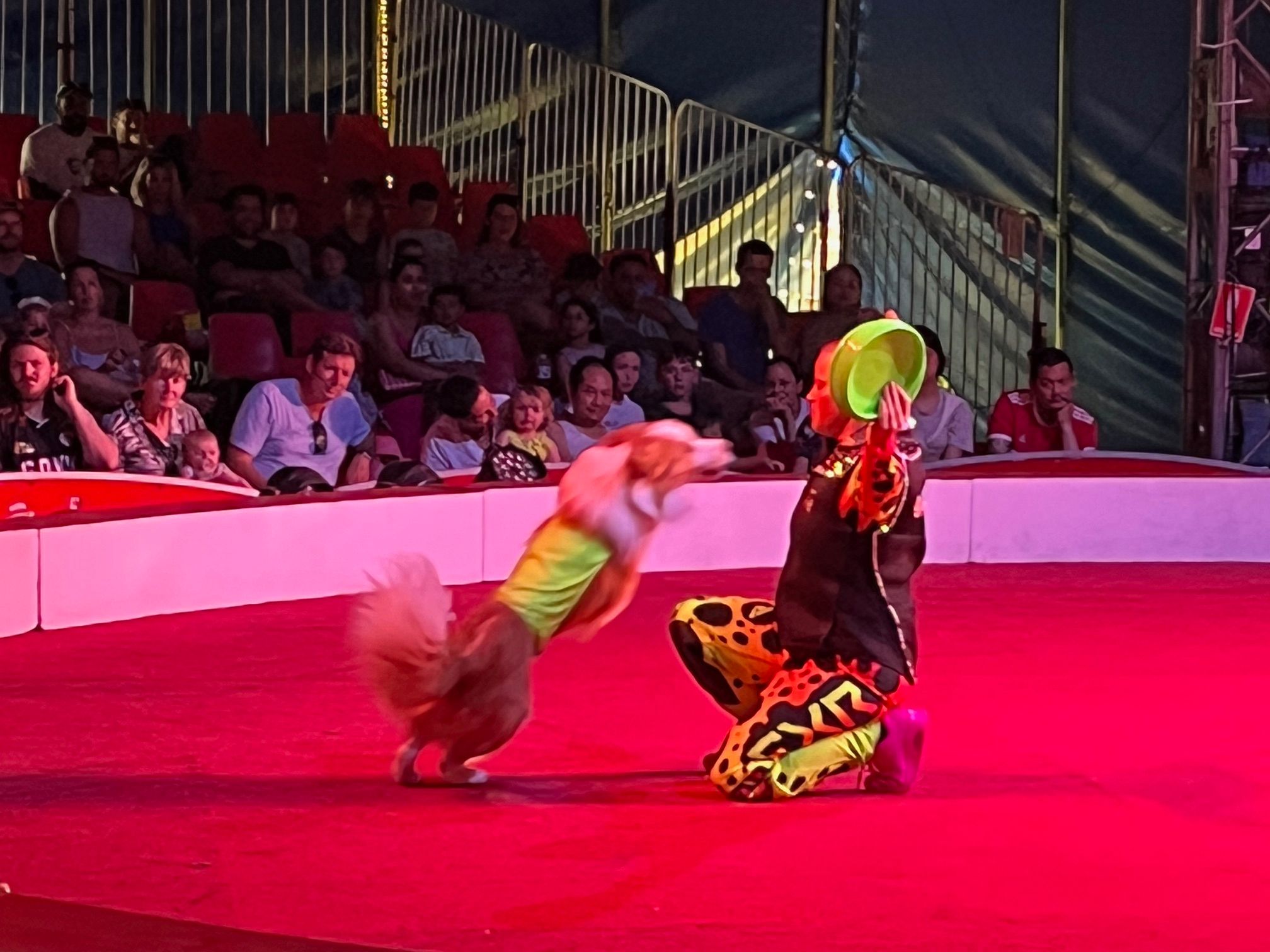 IMG_1286.jpg