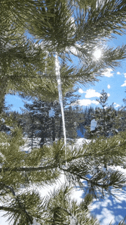 20230122_164417.gif