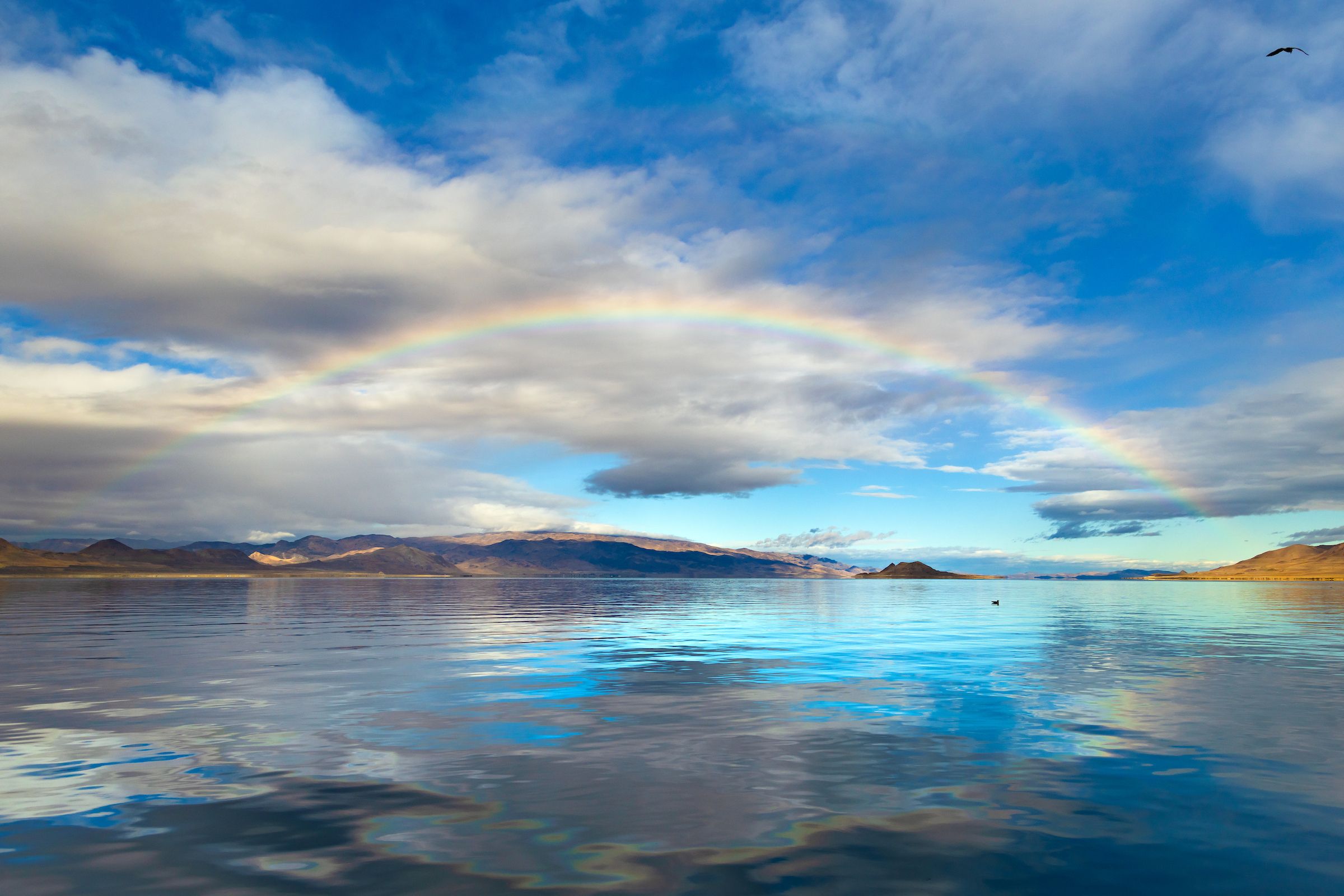 Rainbow Above Pyramid Lake 1.jpg