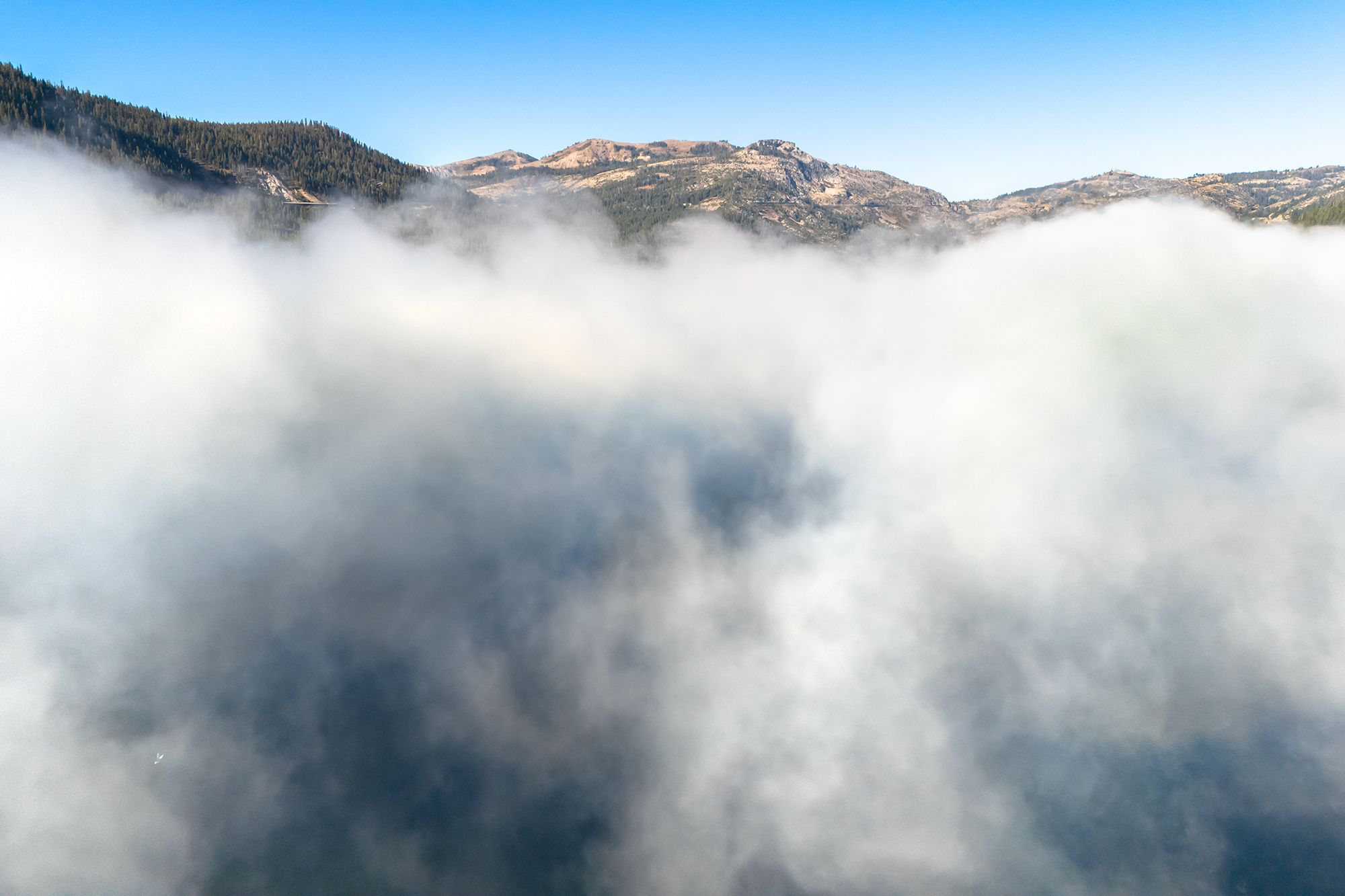 DJI_20250922085839_0310_D.jpg