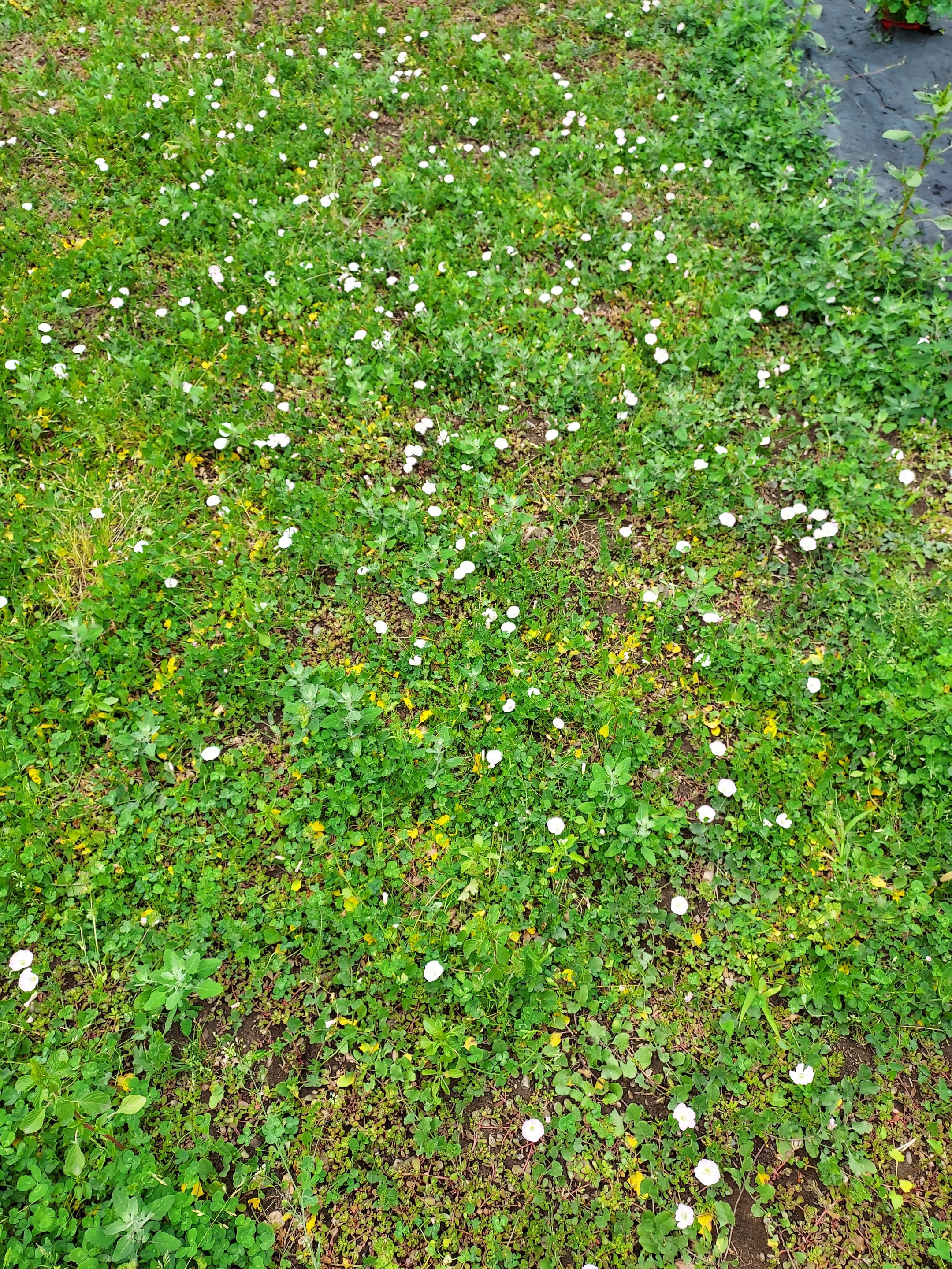 20250705_132643.jpg