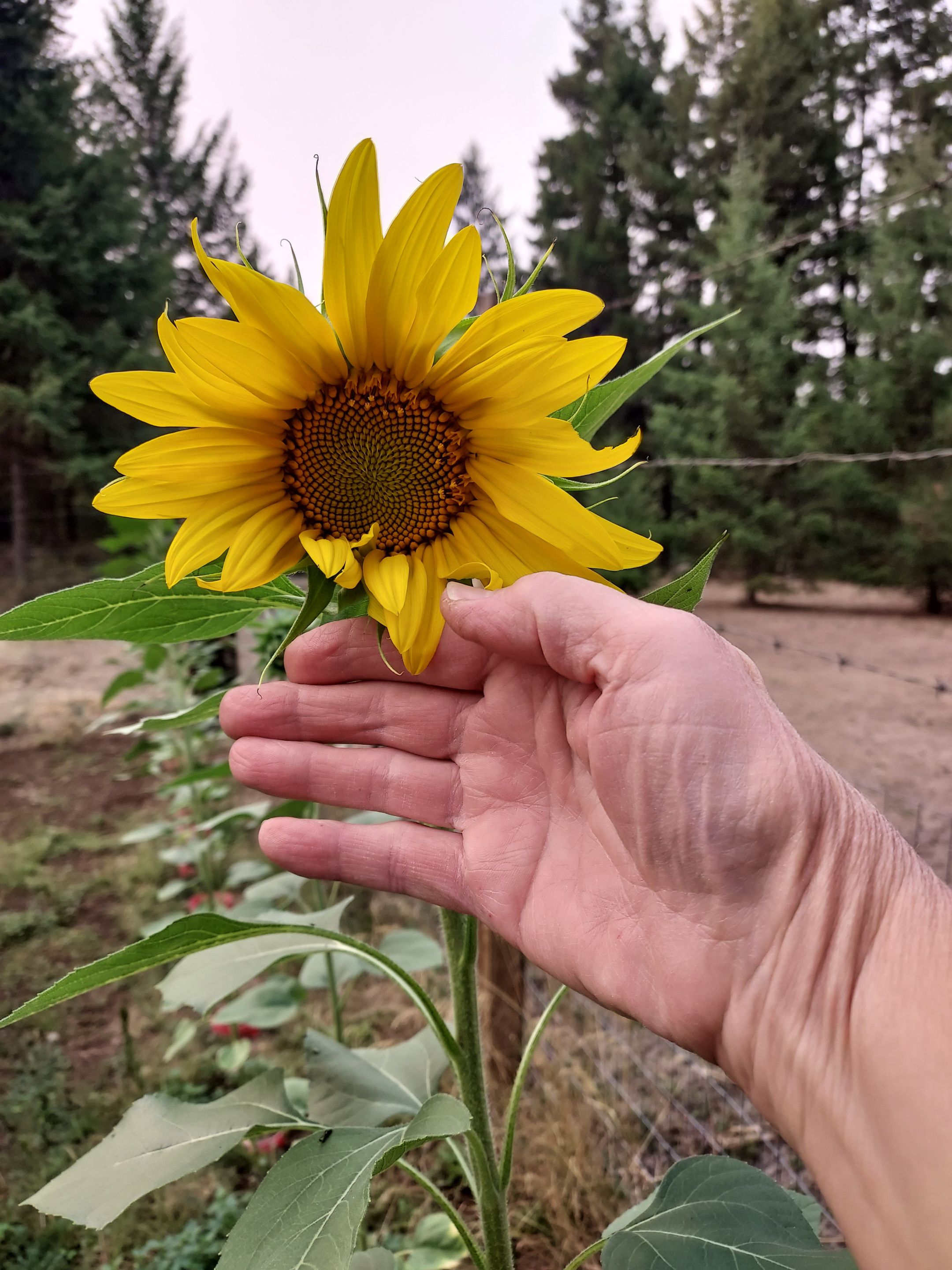 20250905_175539.jpg