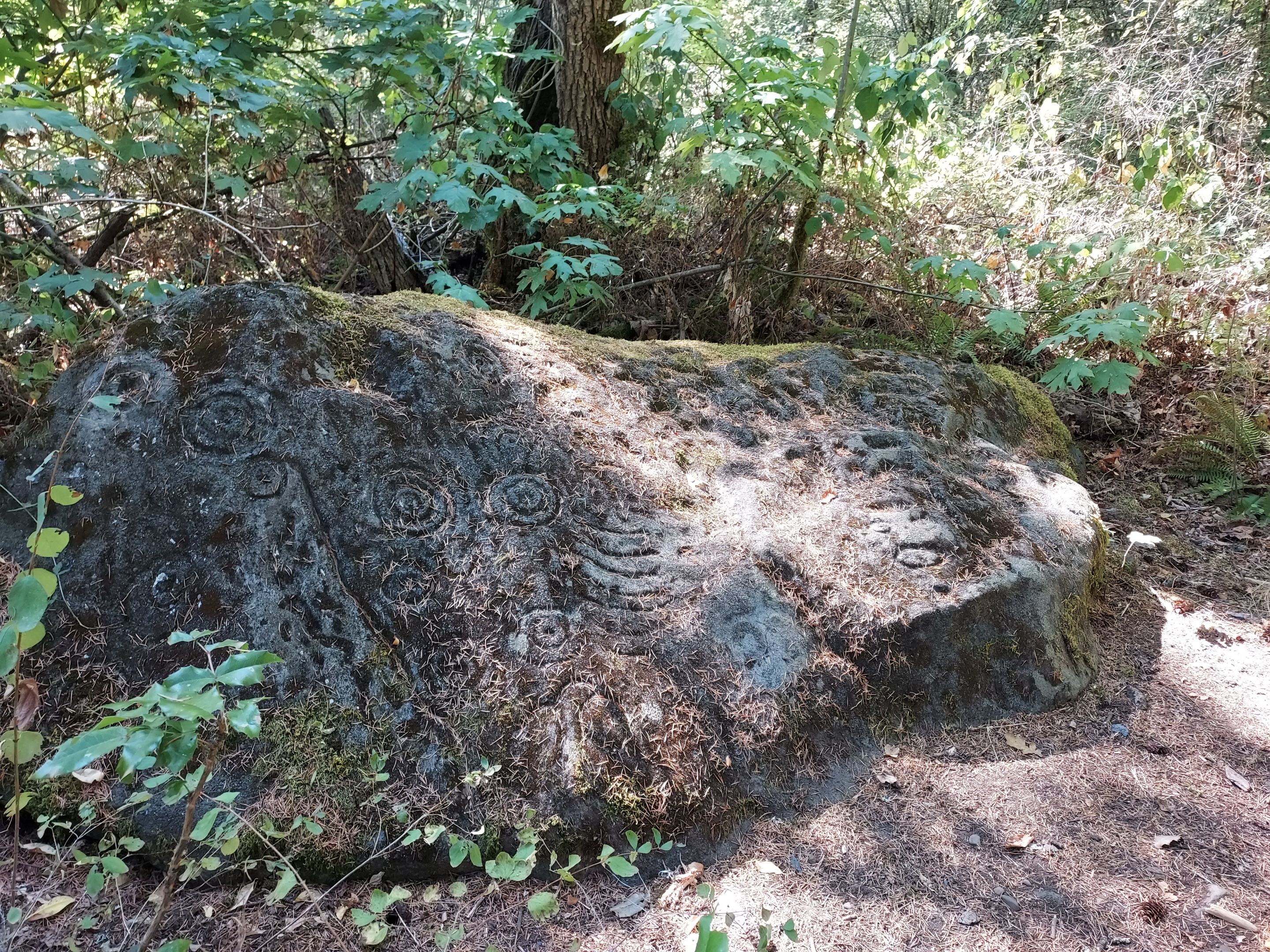 20250917_113129.jpg