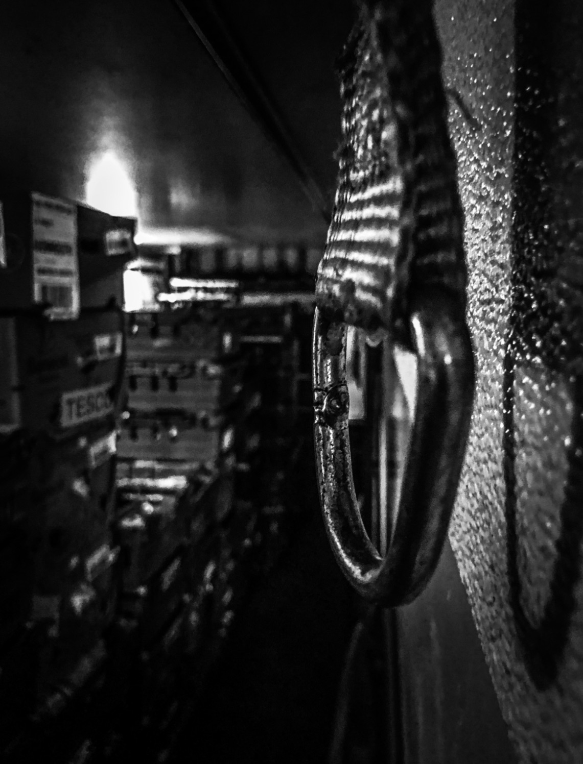 E05FD209-166D-4966-A146-B26F32D14C23.jpeg