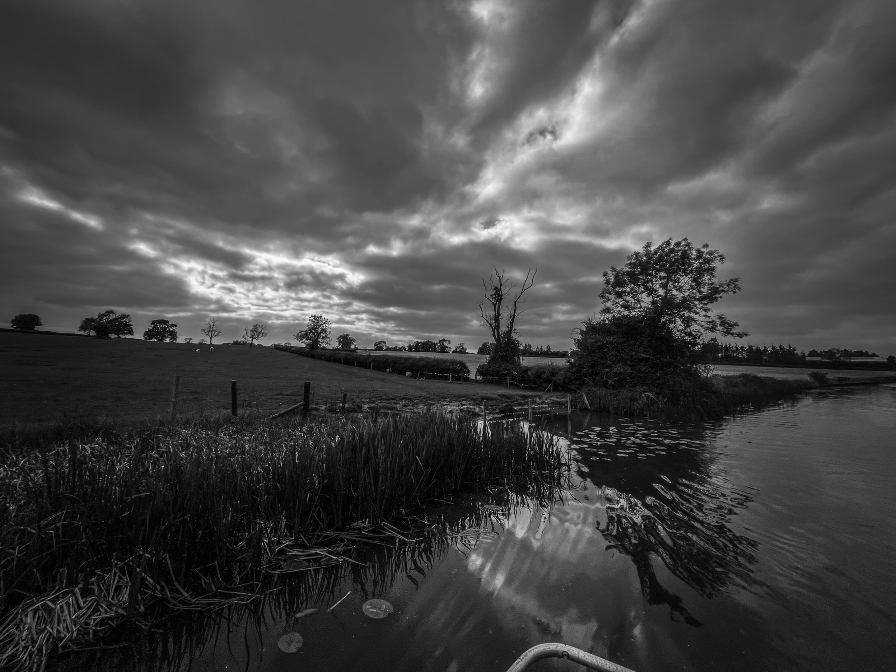 7B36D3CD-ED70-4CF8-A78D-3A85846DCB84.jpeg