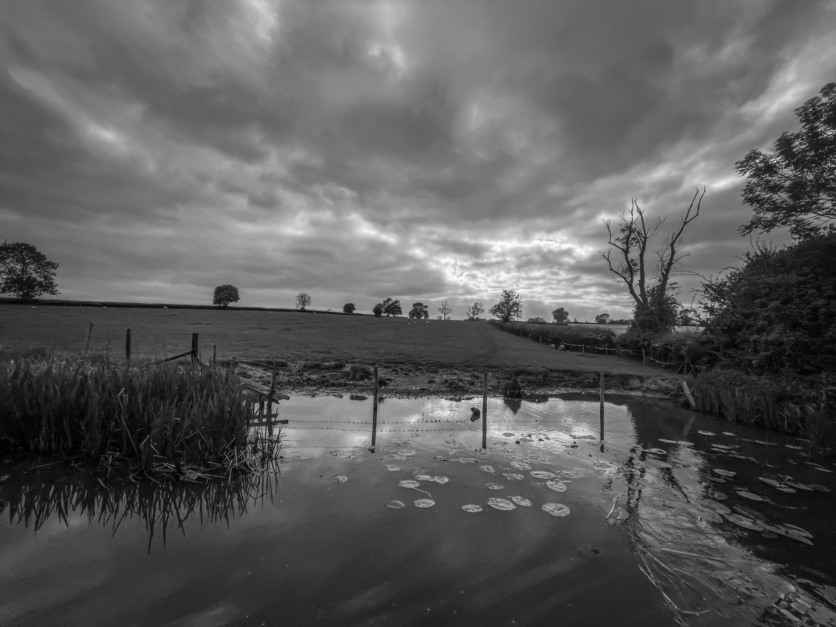 4E587328-2B15-4749-81DF-D3874C109737.jpeg