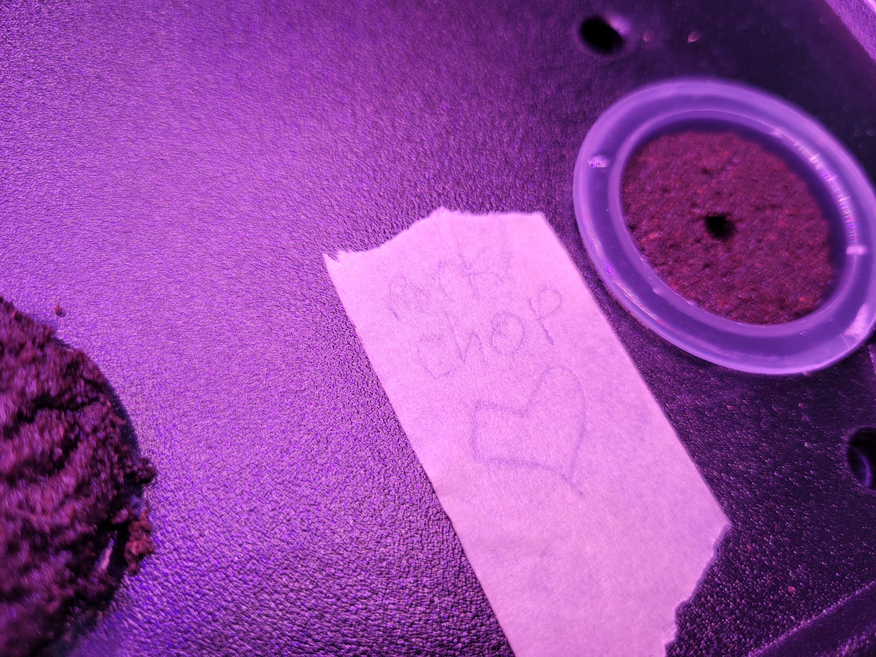 20250413_184637.jpg