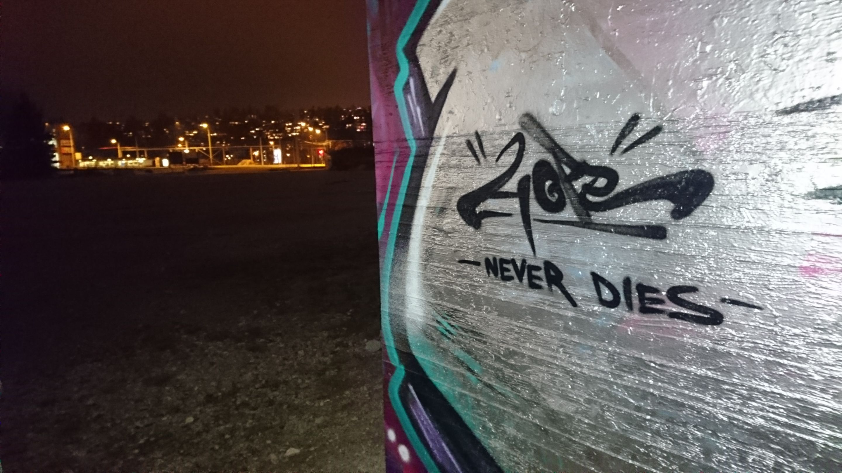 DSC_0063.JPG