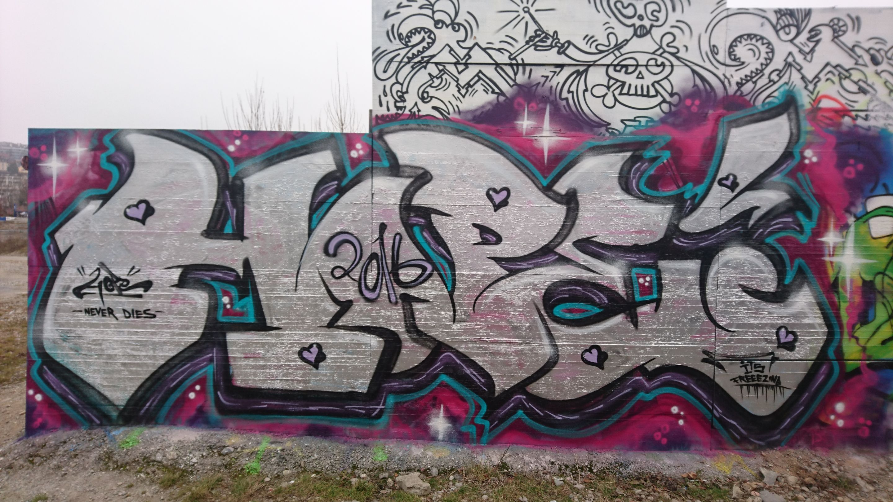 DSC_0071.JPG